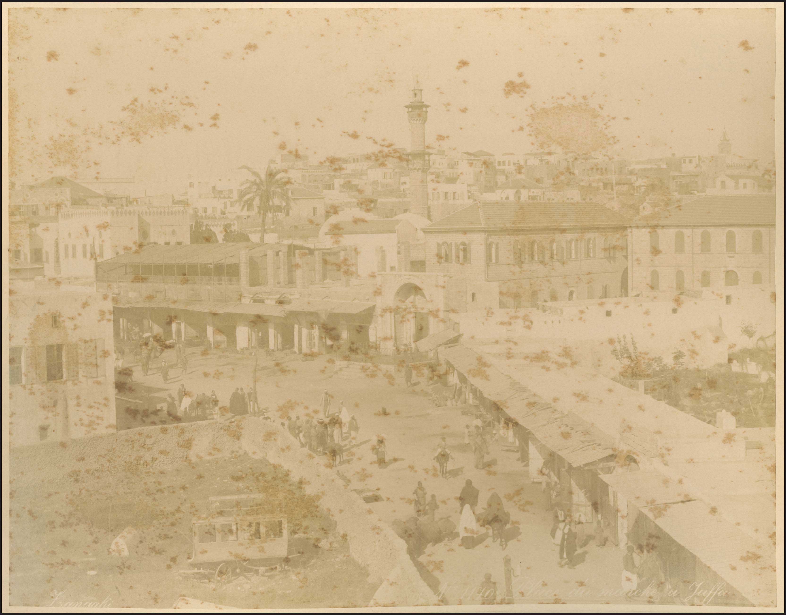 Lot 03629