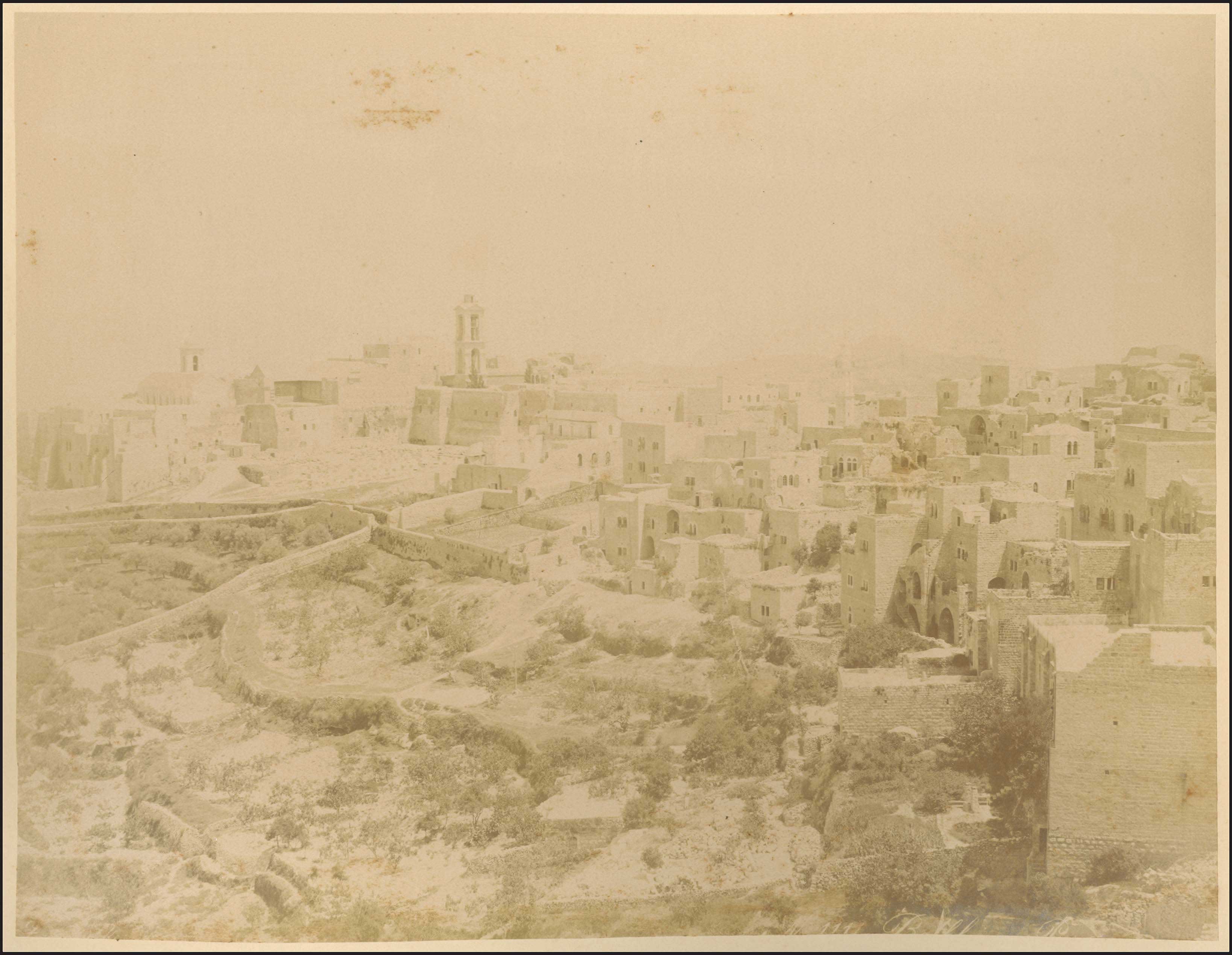 Lot 03629