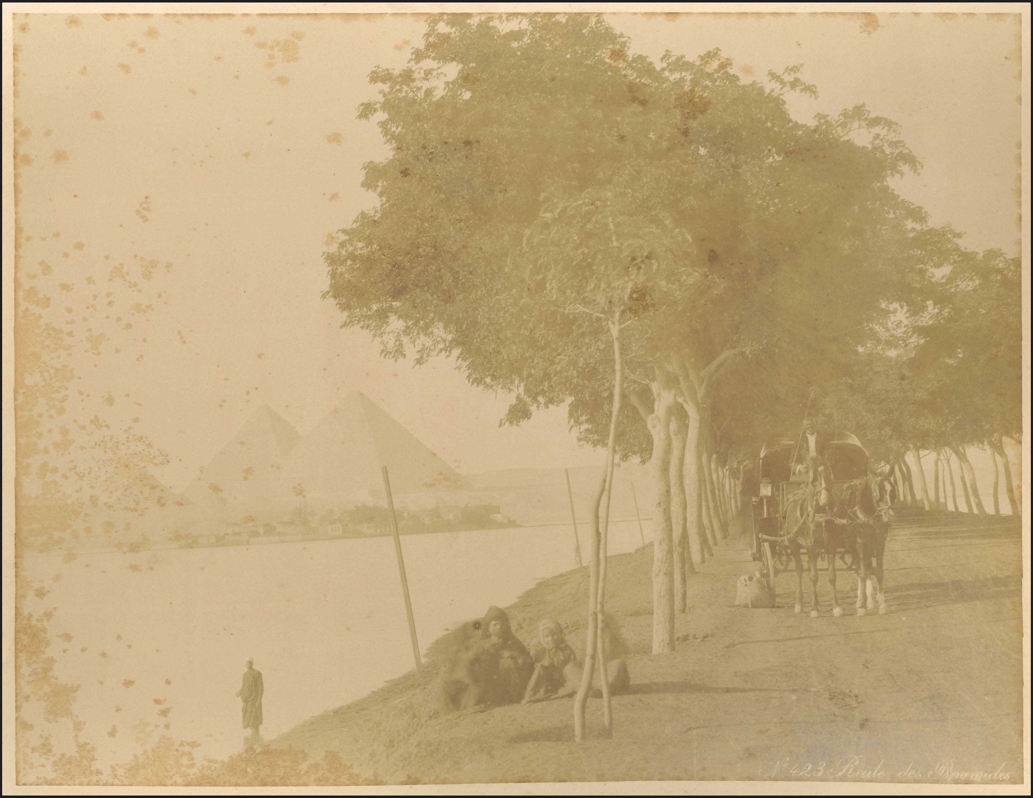 Lot 03629