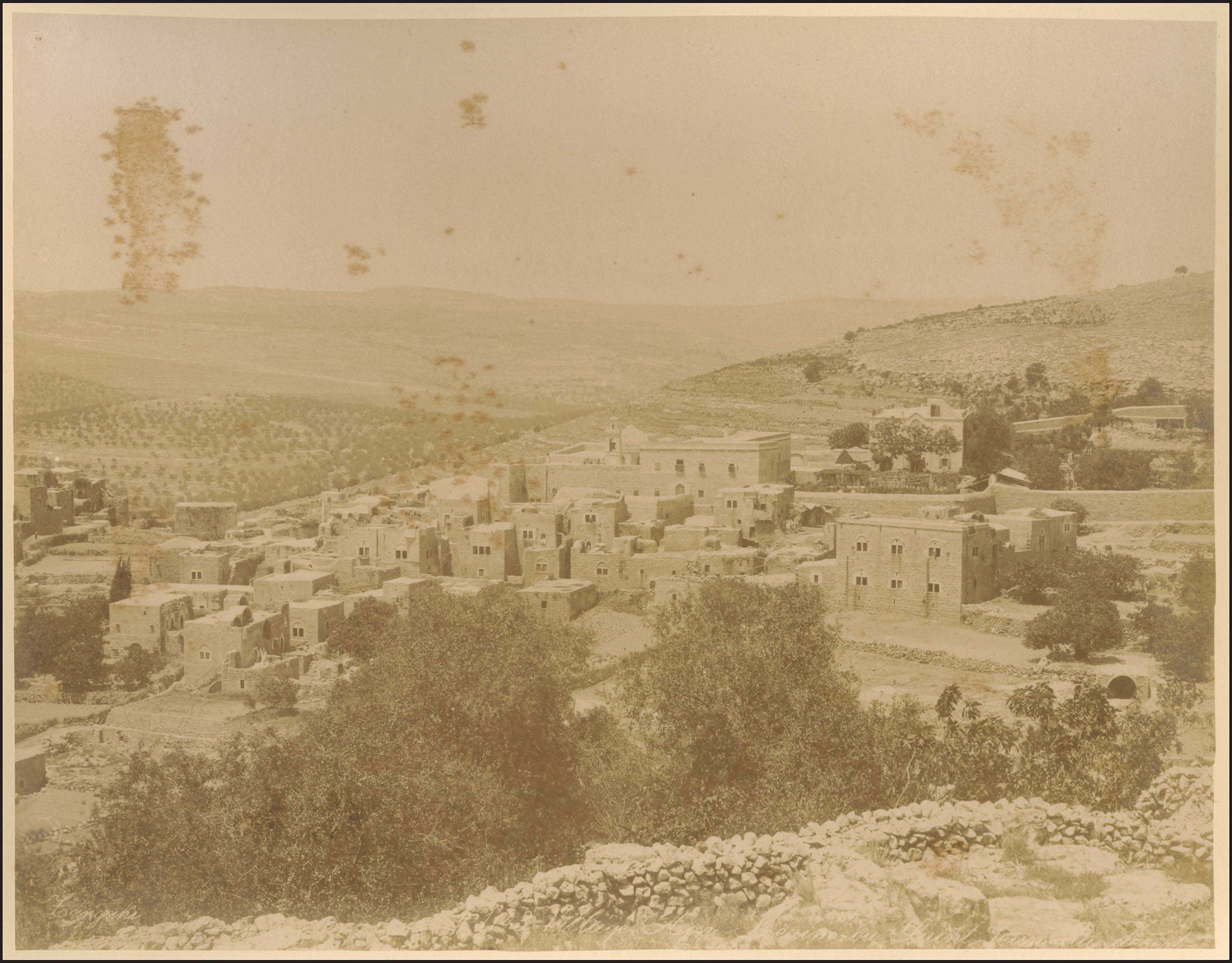 Lot 03641