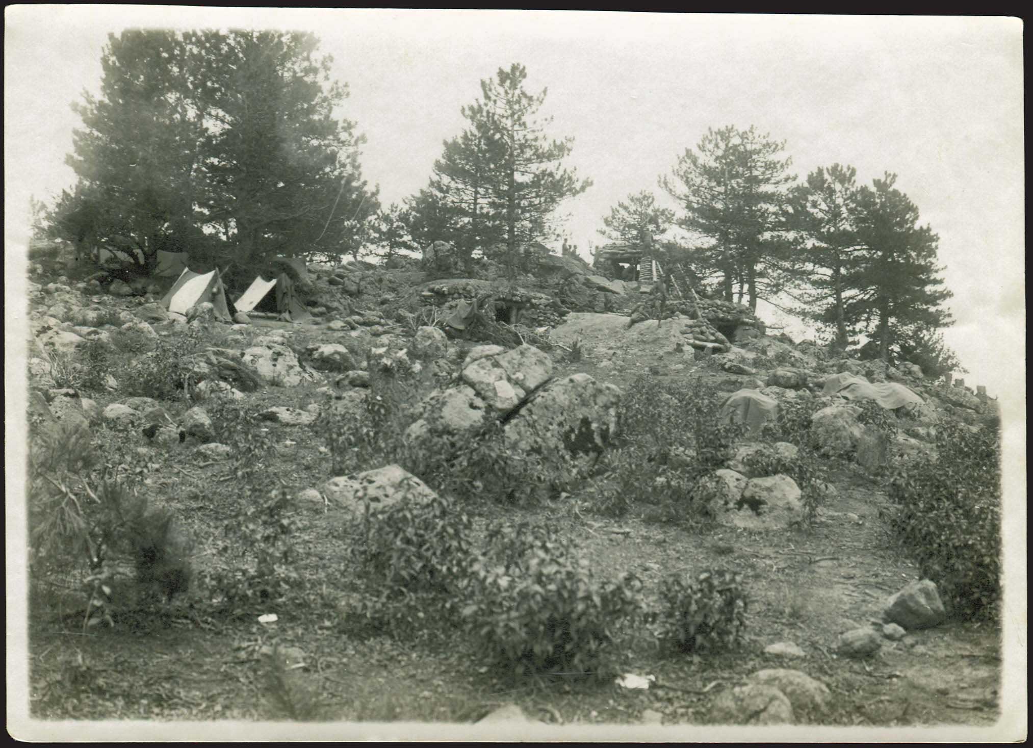 Lot 08870