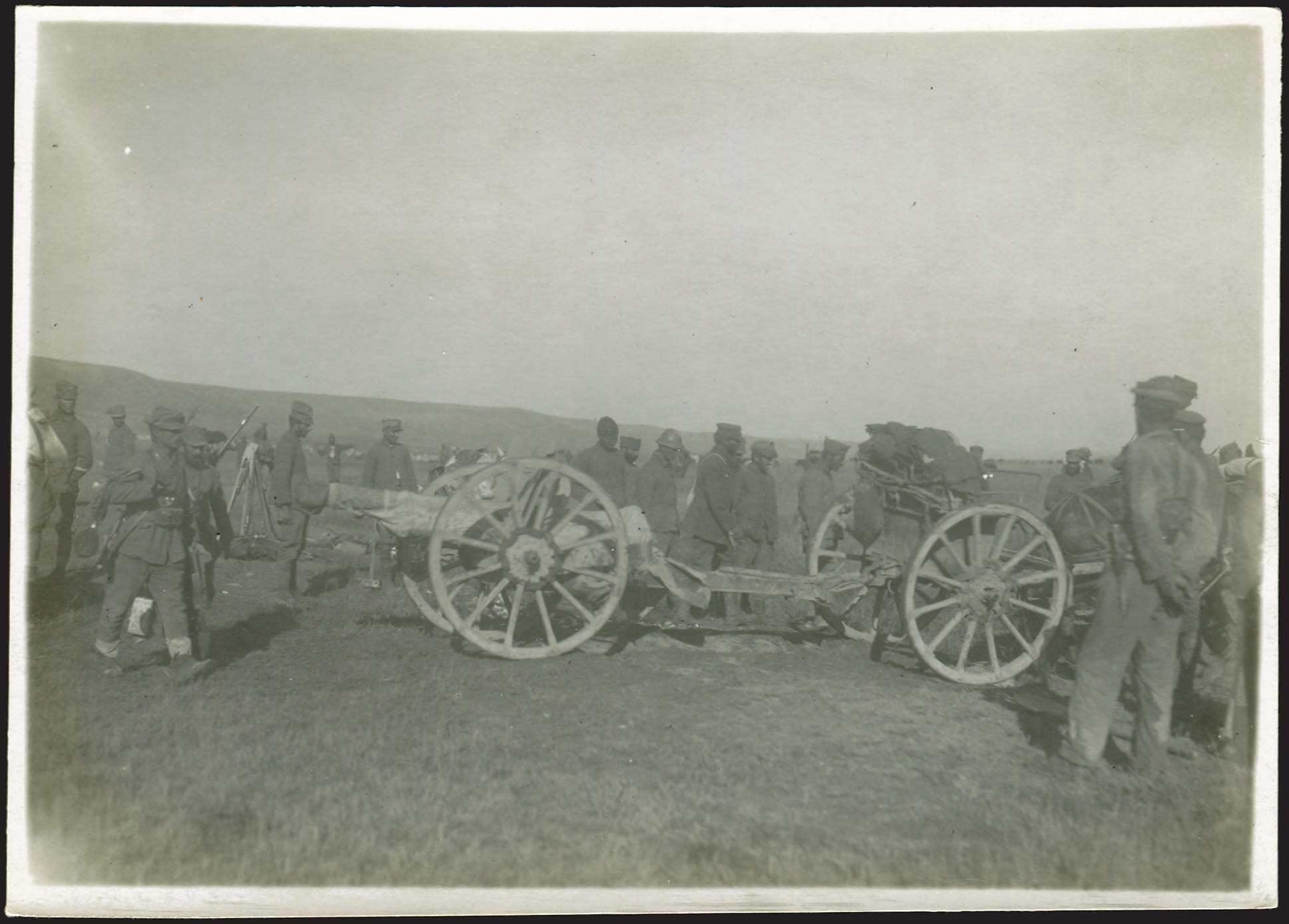 Lot 08875