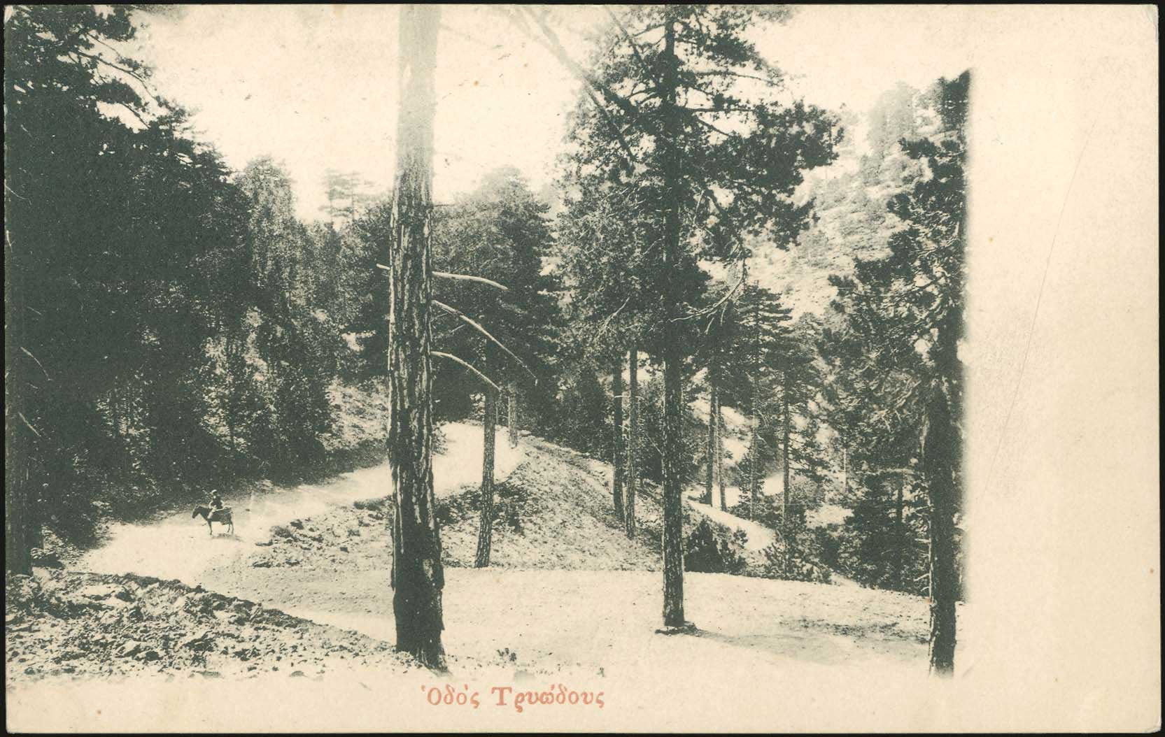 Lot 01811