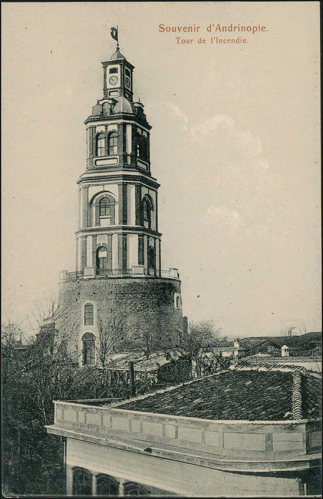 Lot 01913