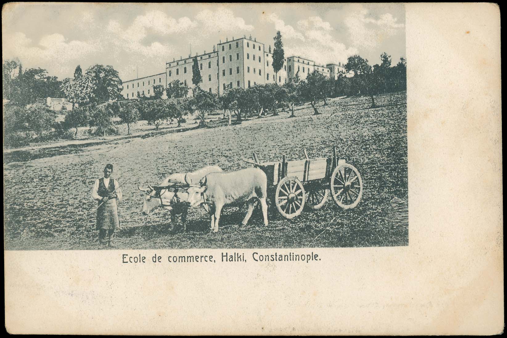 Lot 01633