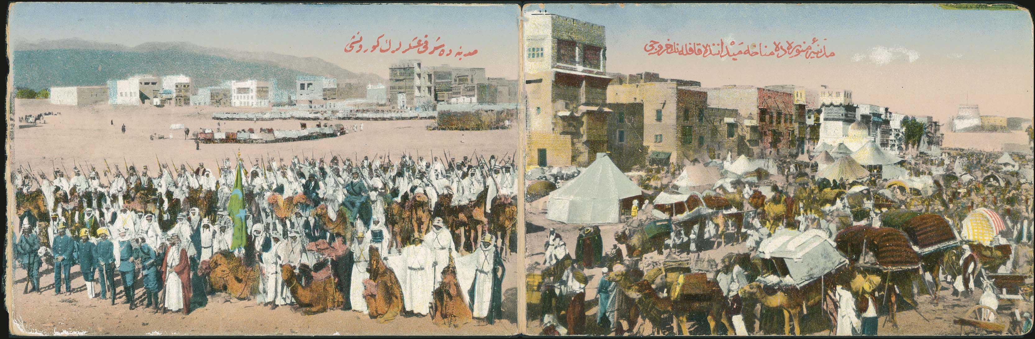 Lot 01952