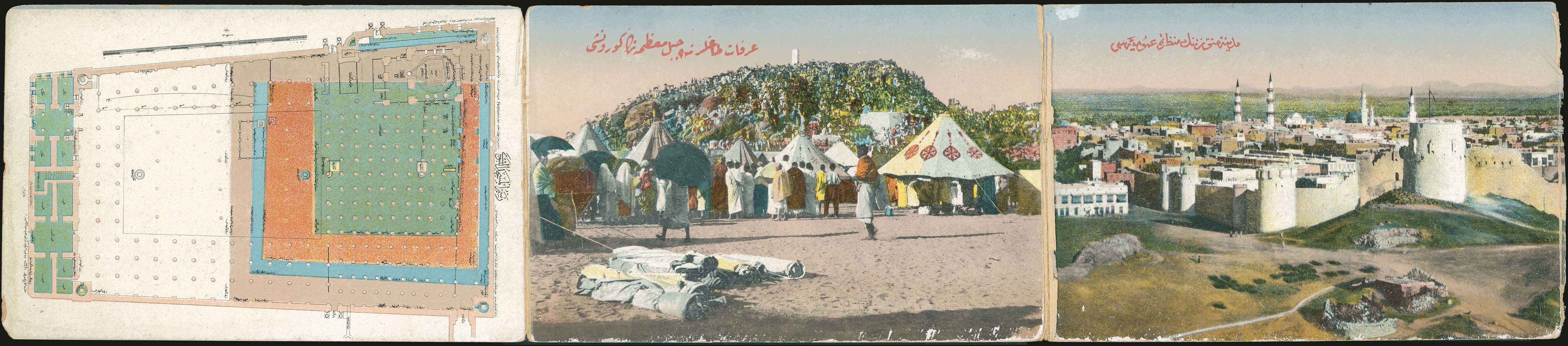 Lot 01952