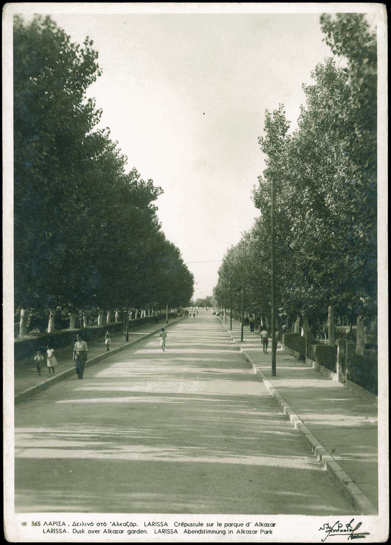 Lot 01544