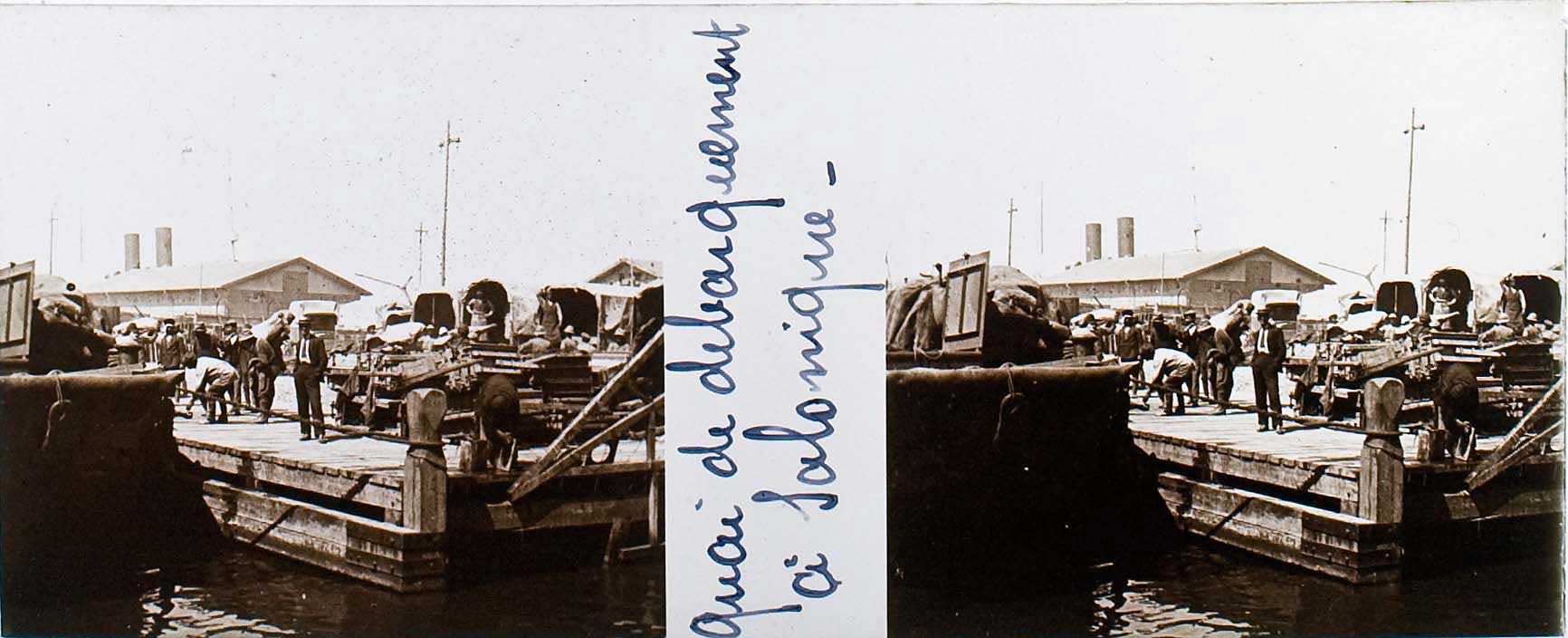 Lot 03659