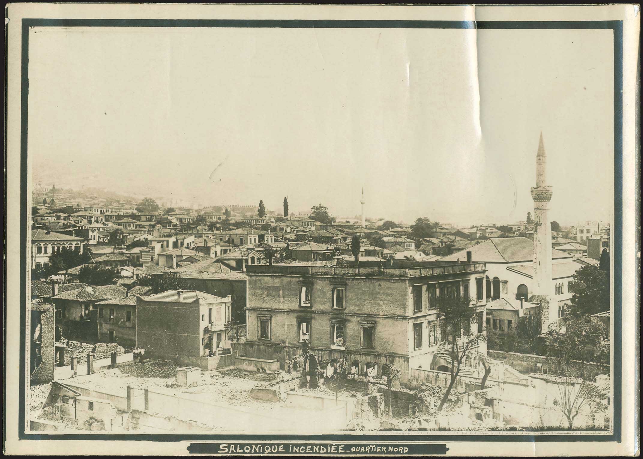 Lot 08856