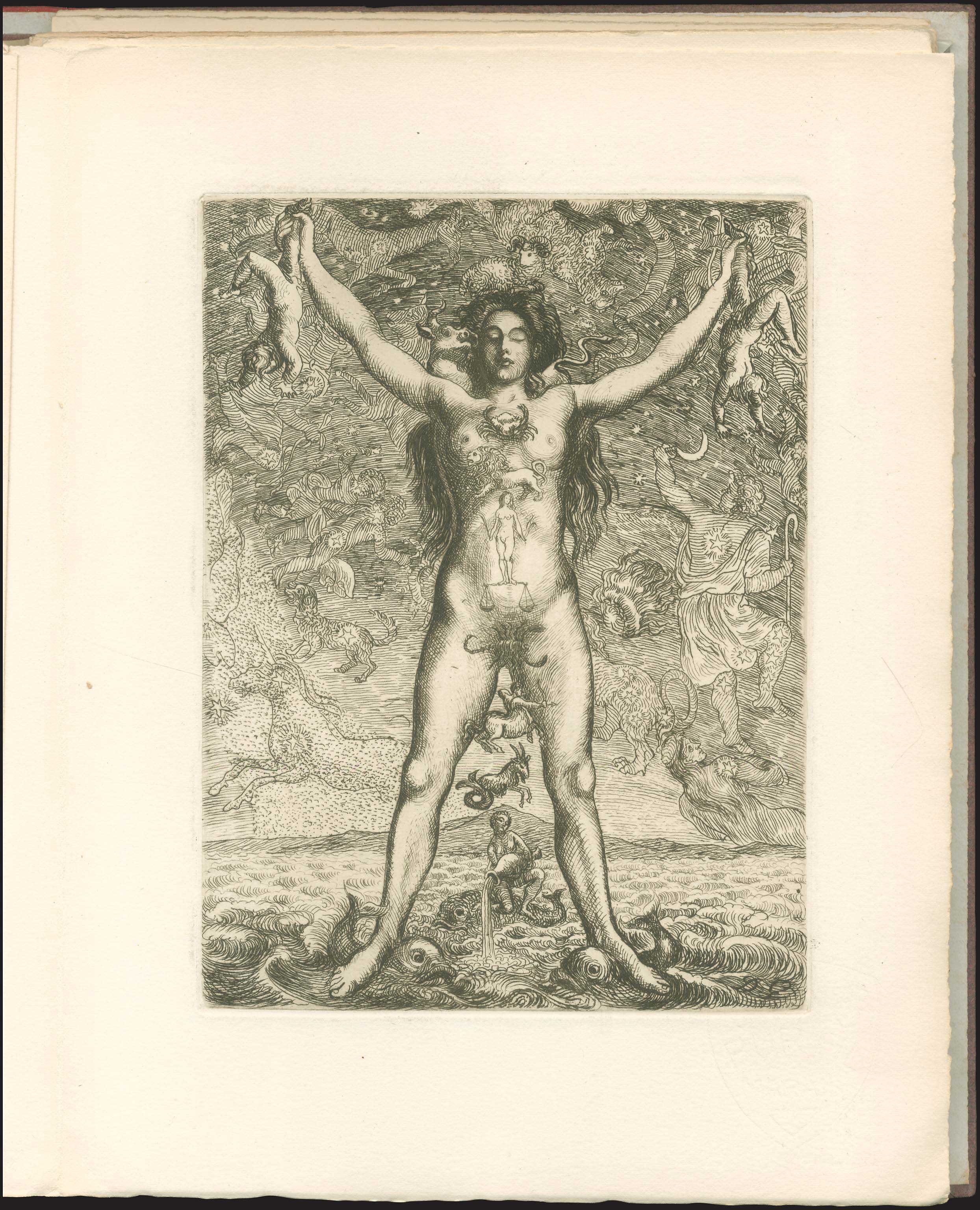 Lot 03411
