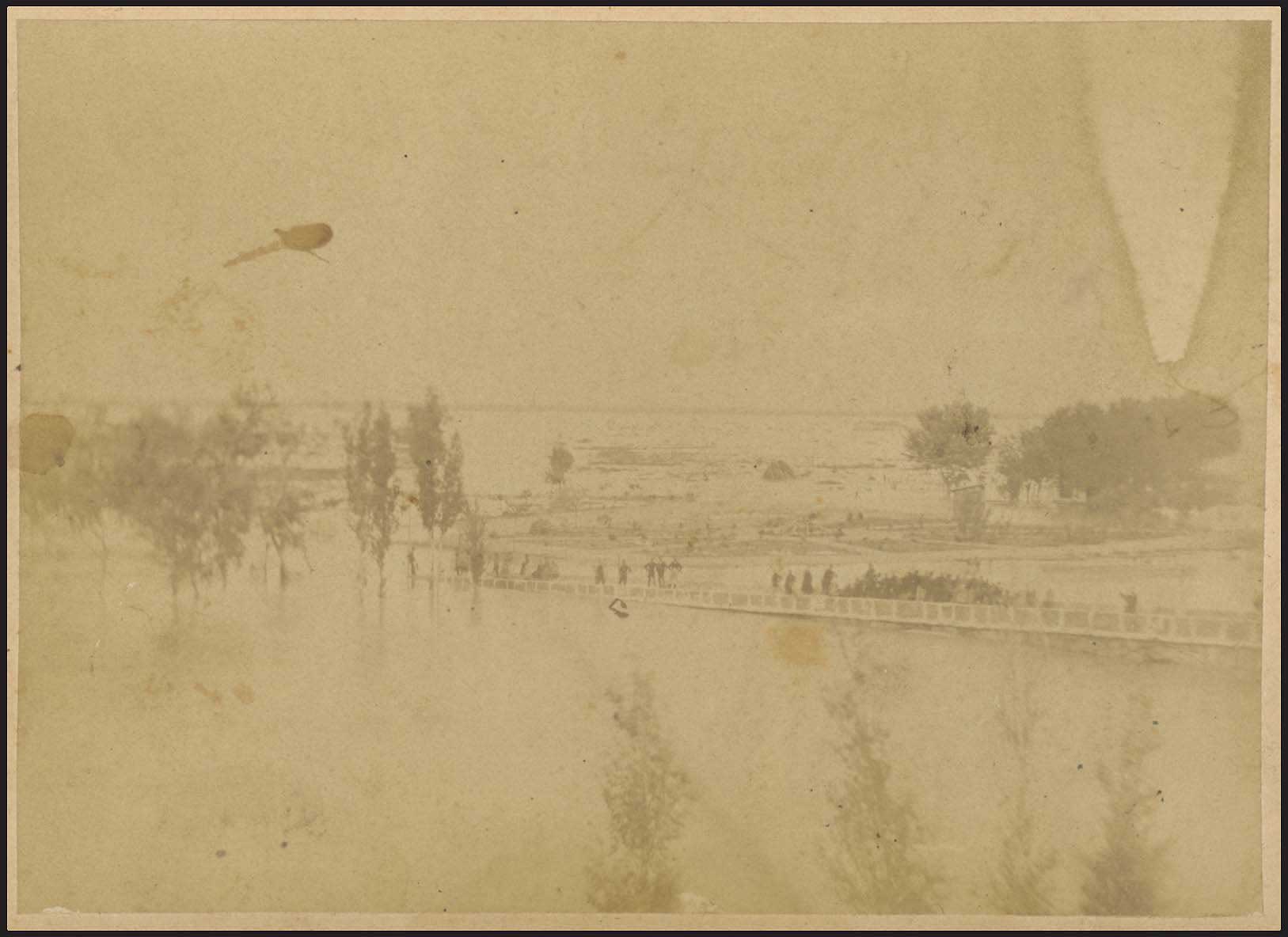 Lot 03636