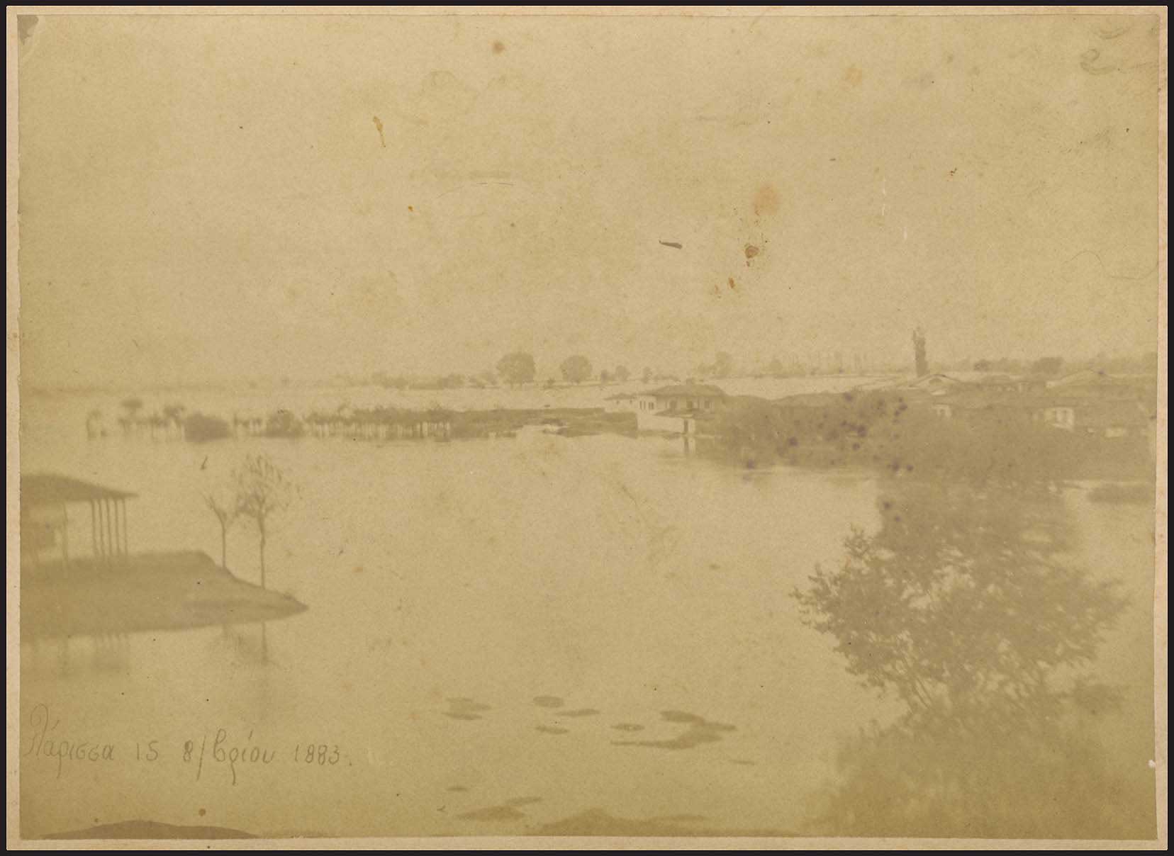 Lot 03636
