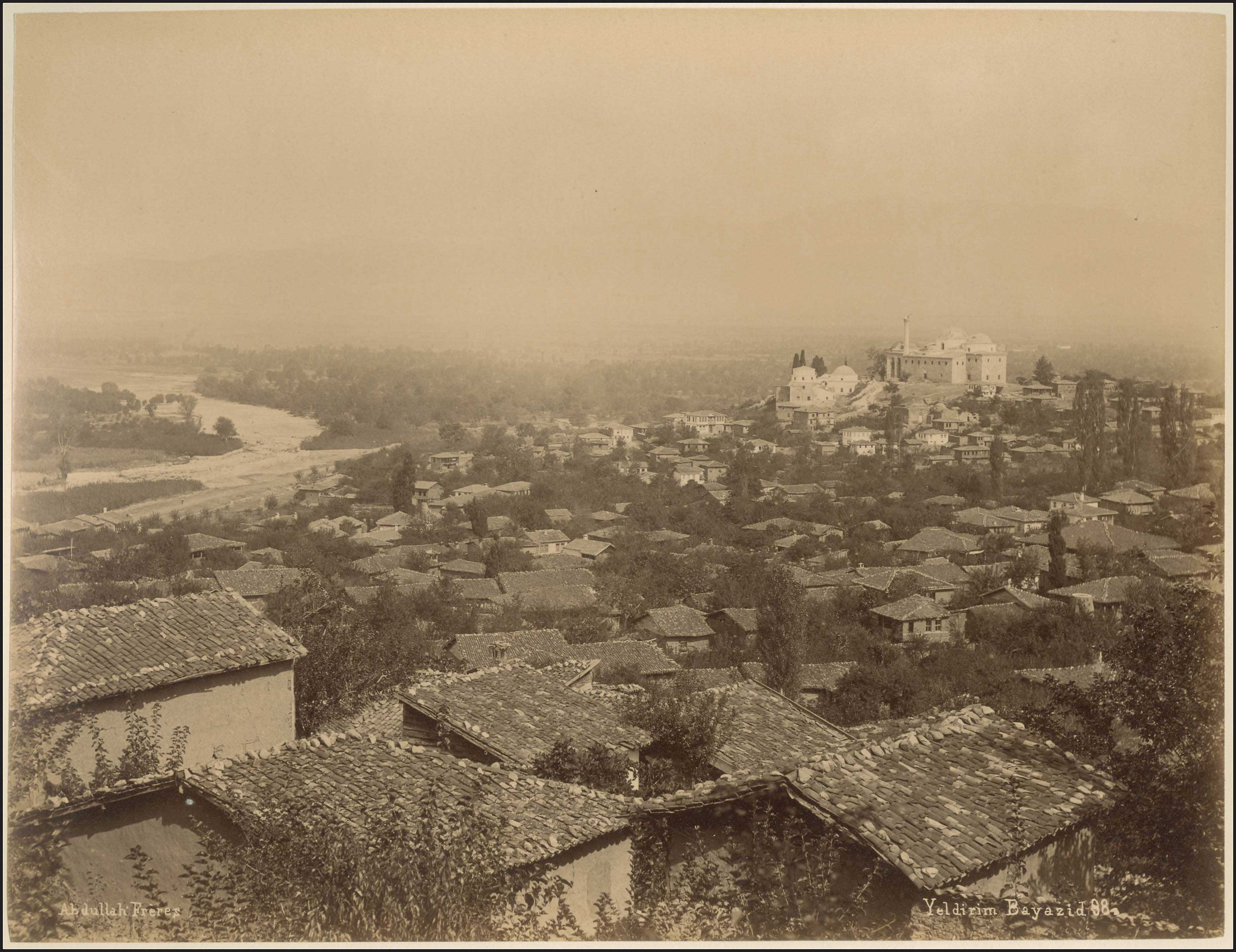 Lot 03649