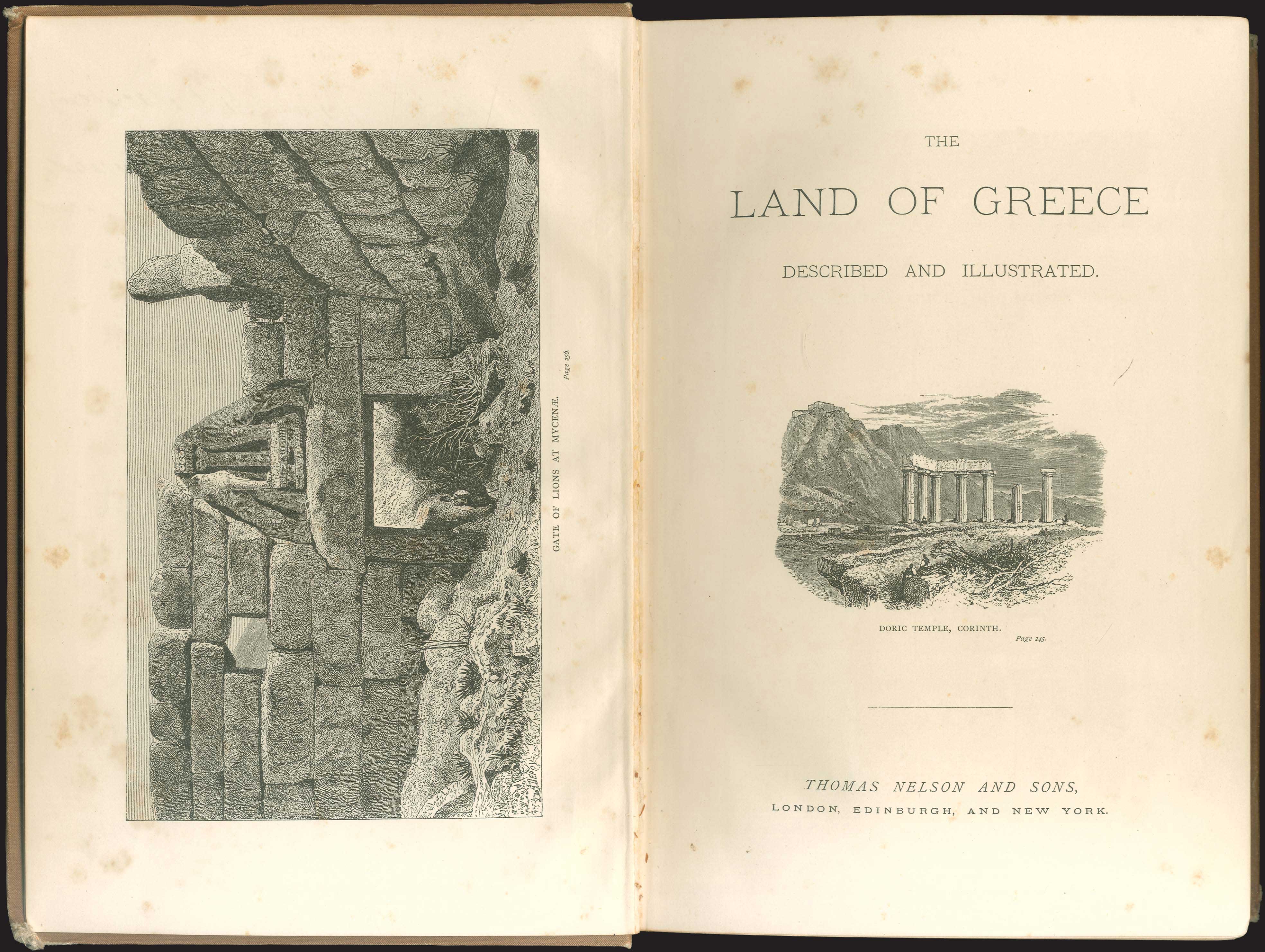 Lot 03149