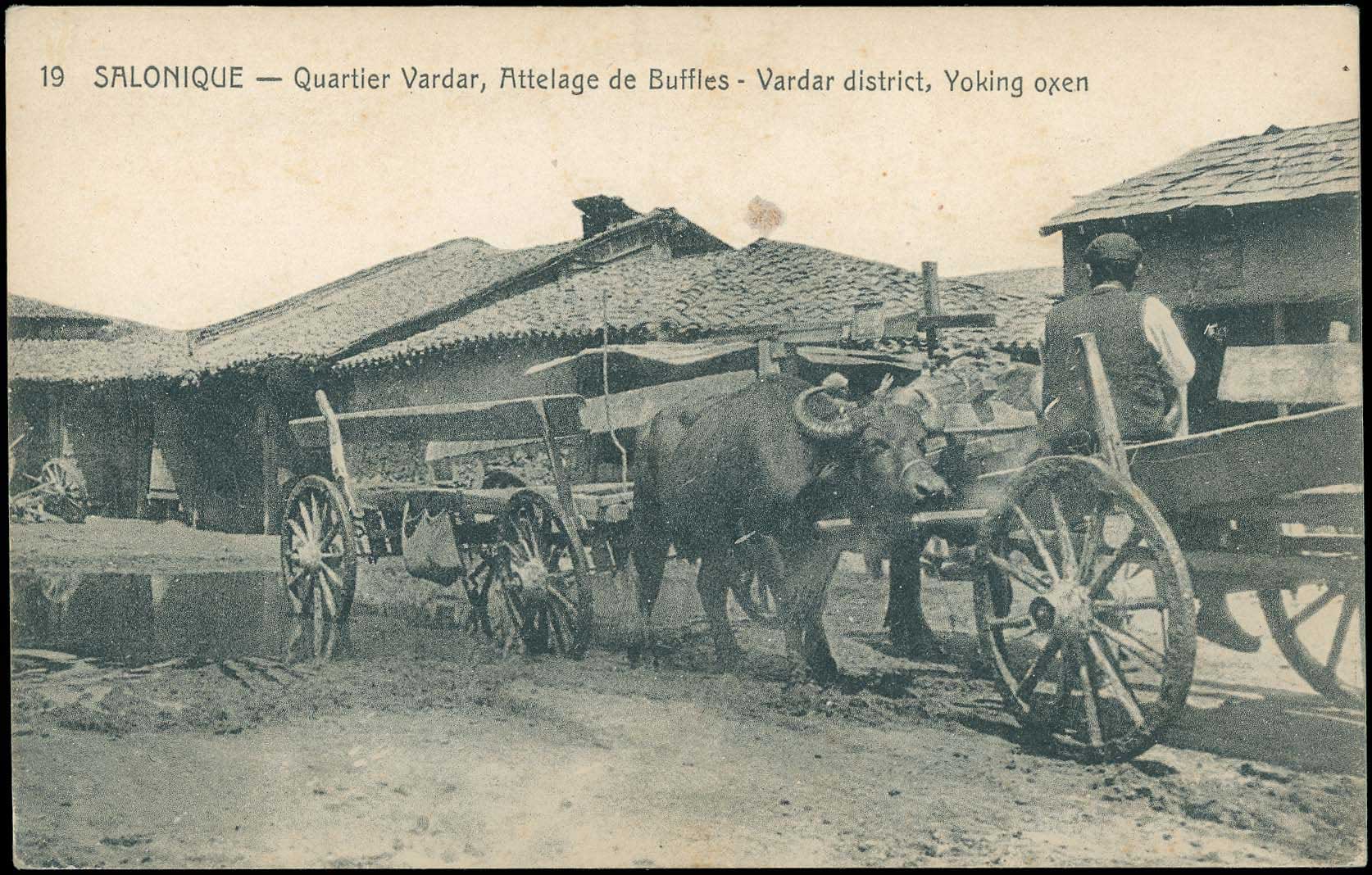 Lot 01605