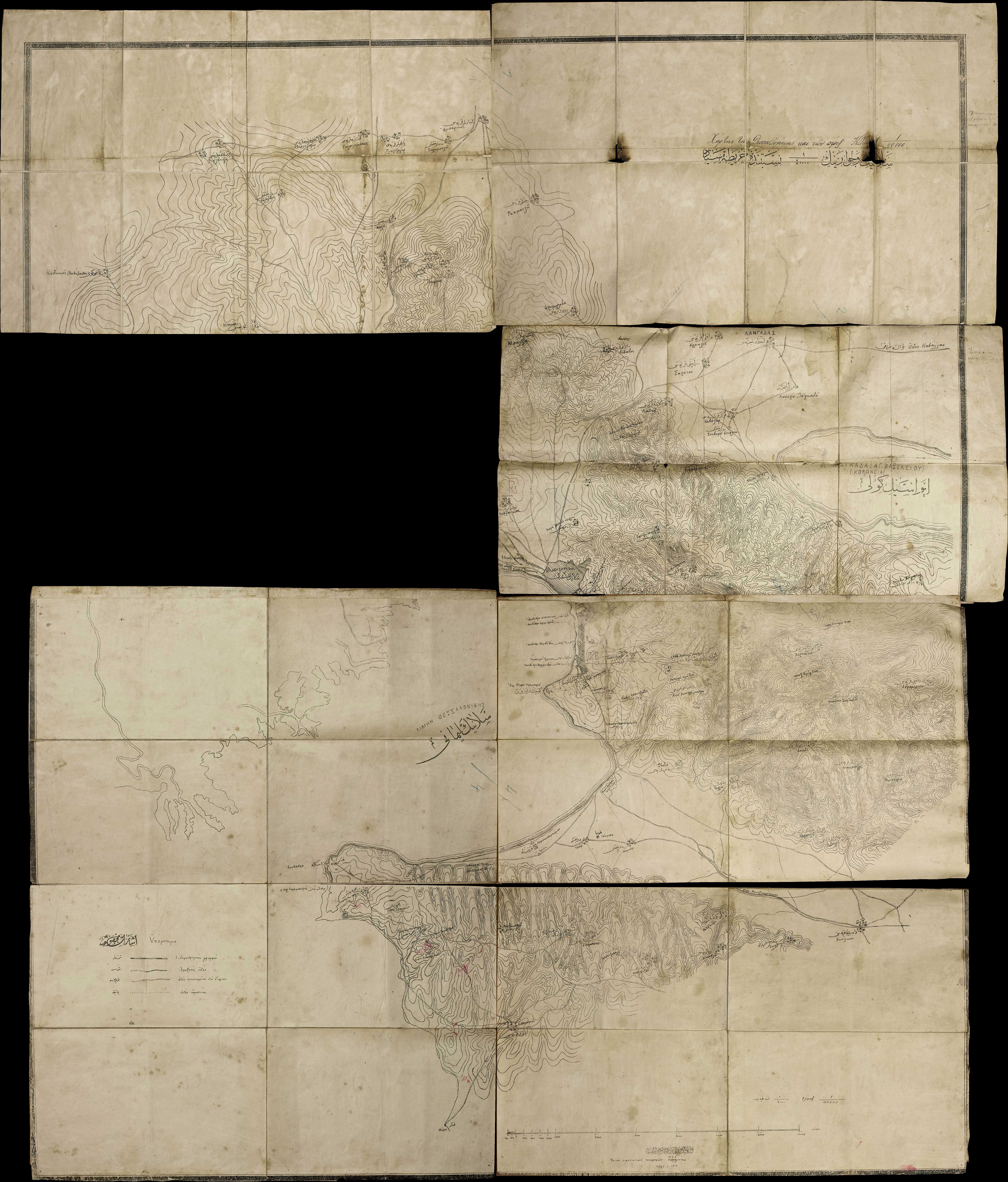 Lot 03026