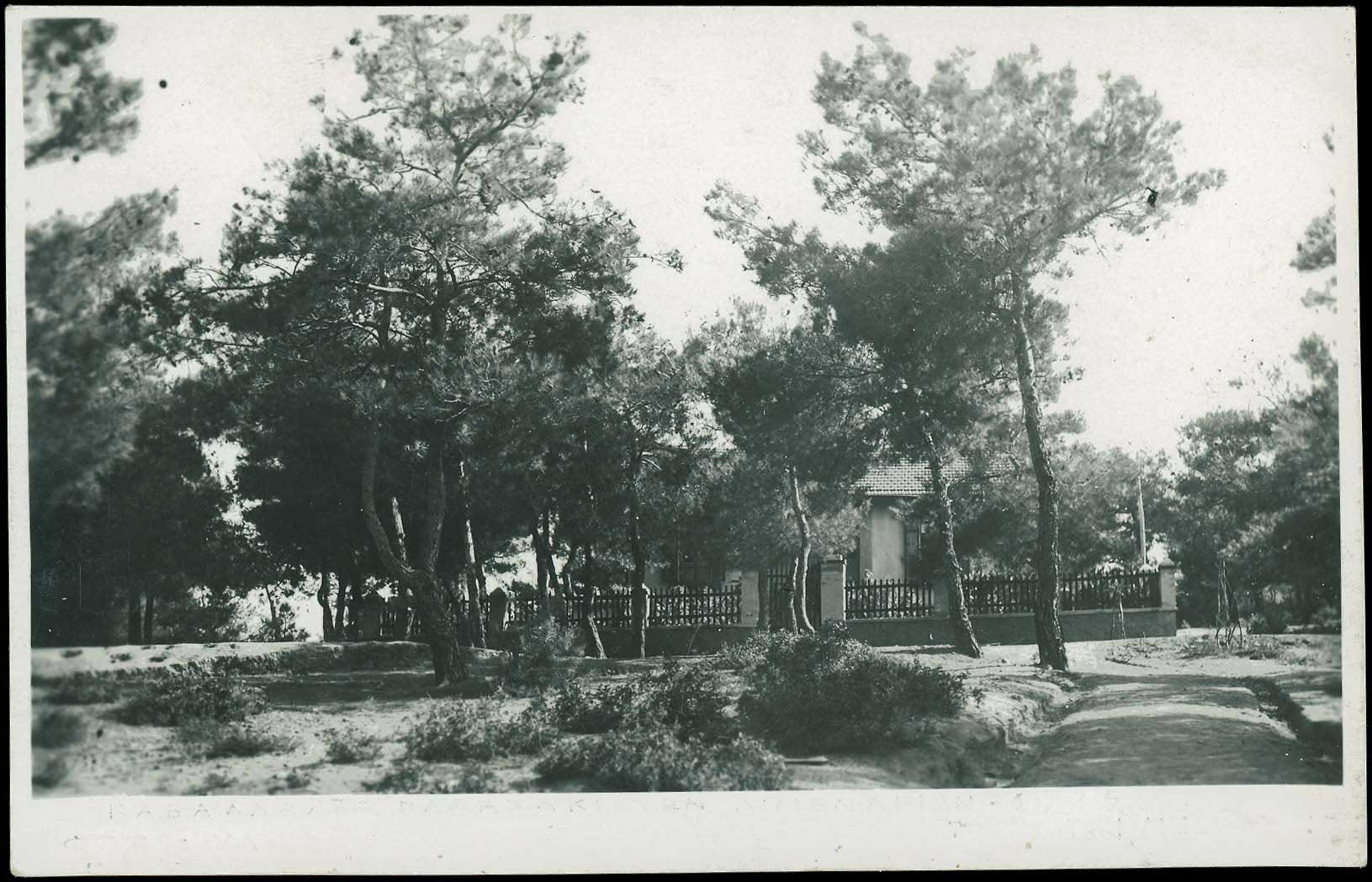 Lot 02364