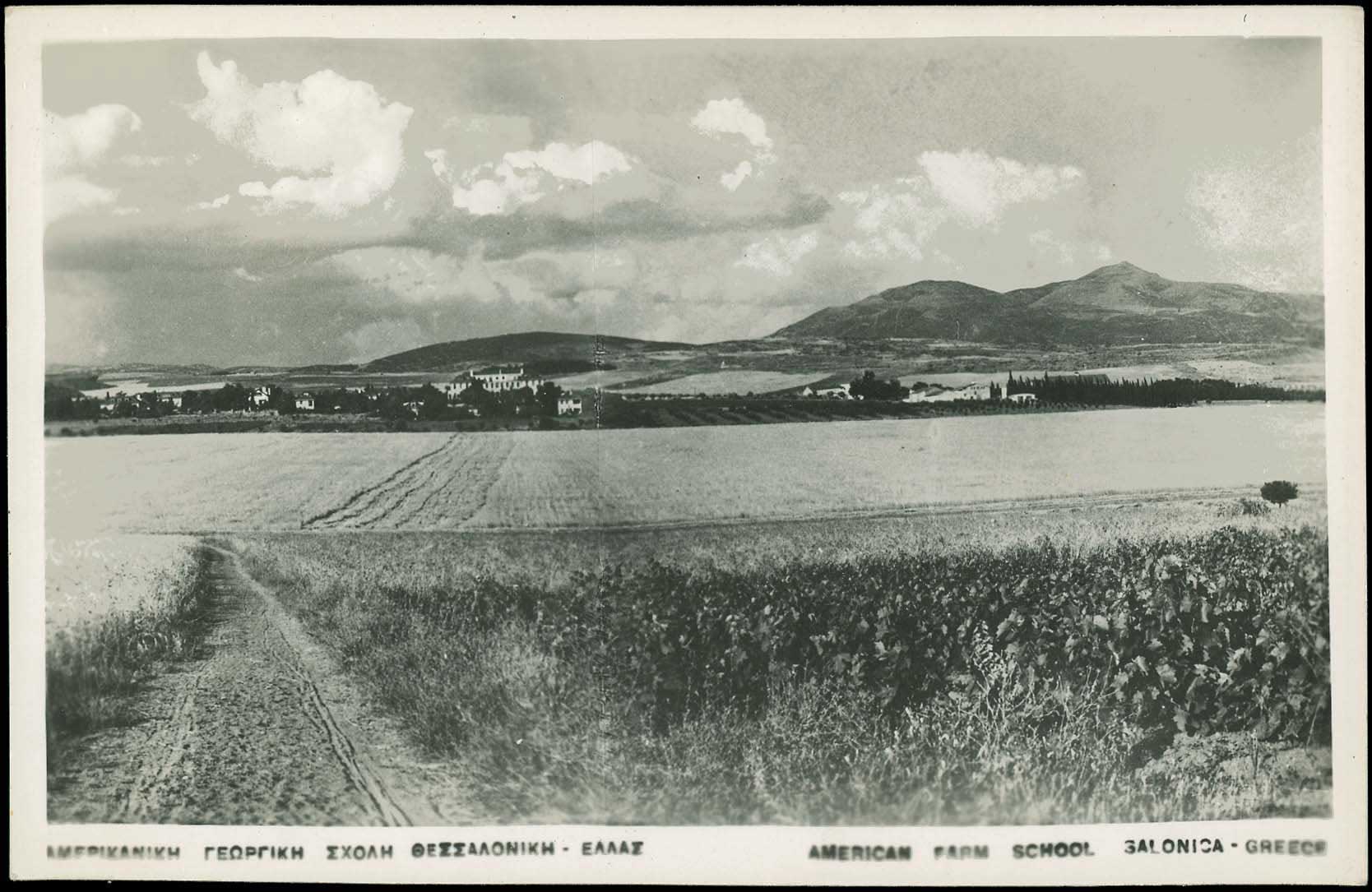 Lot 02246