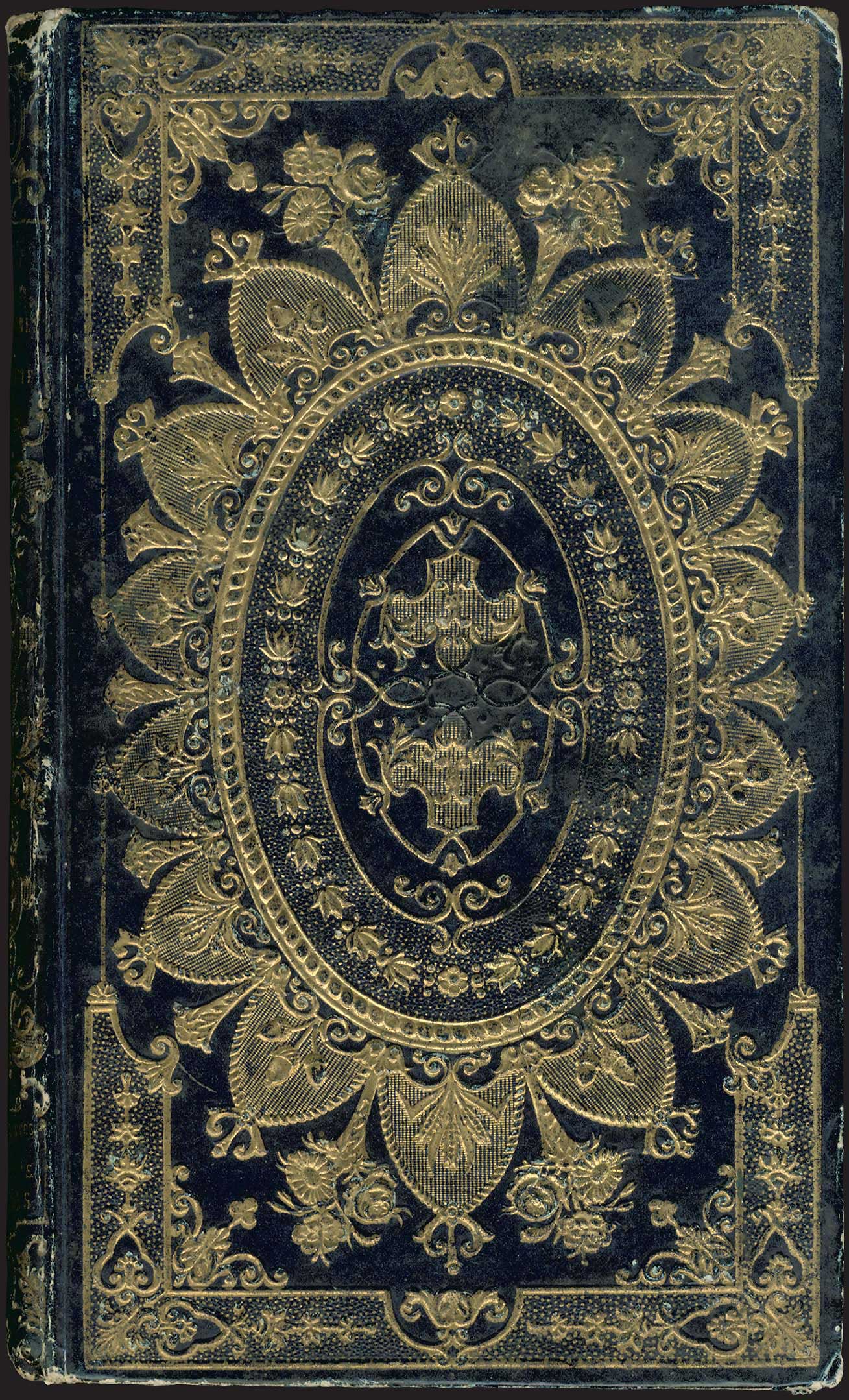 Lot 03523
