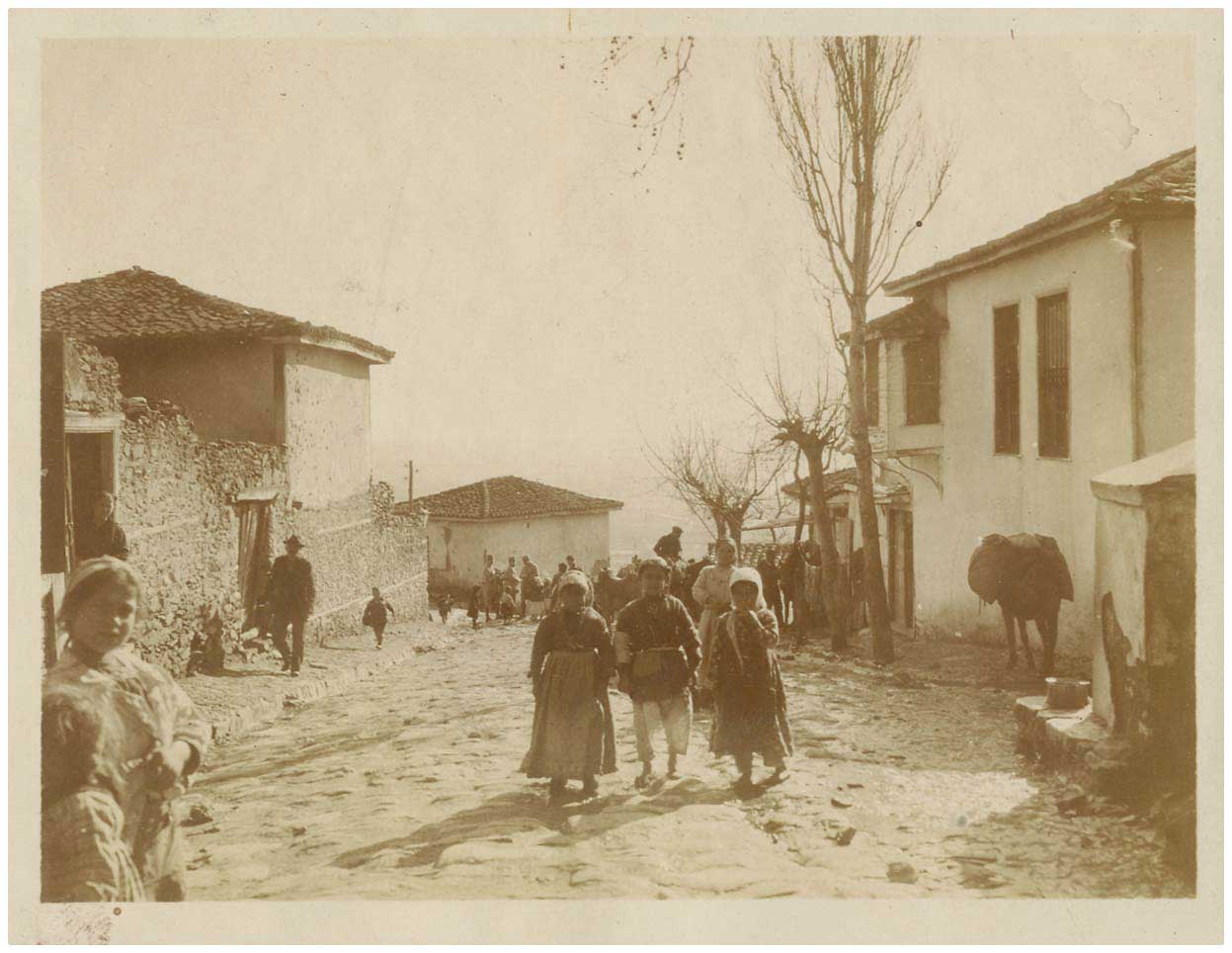 Lot 09427