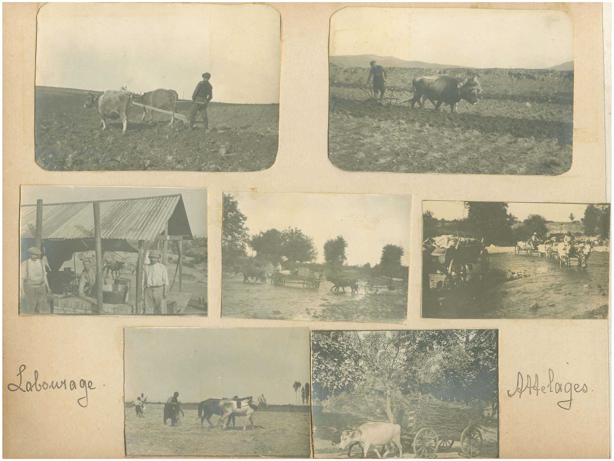 Lot 09421