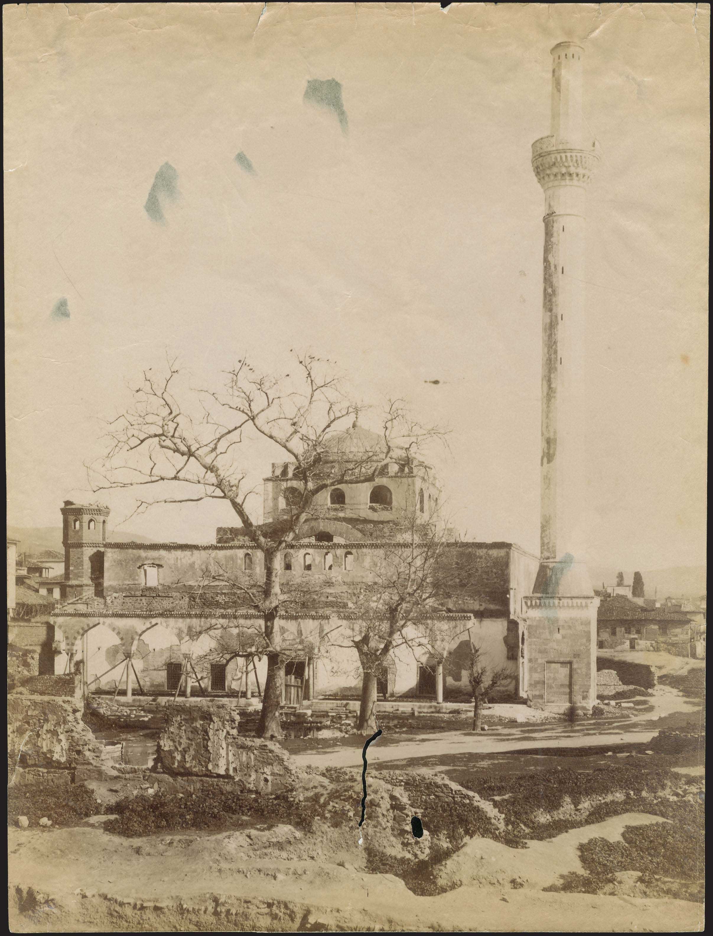 Lot 03005