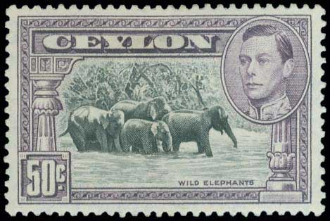 Lot 01825
