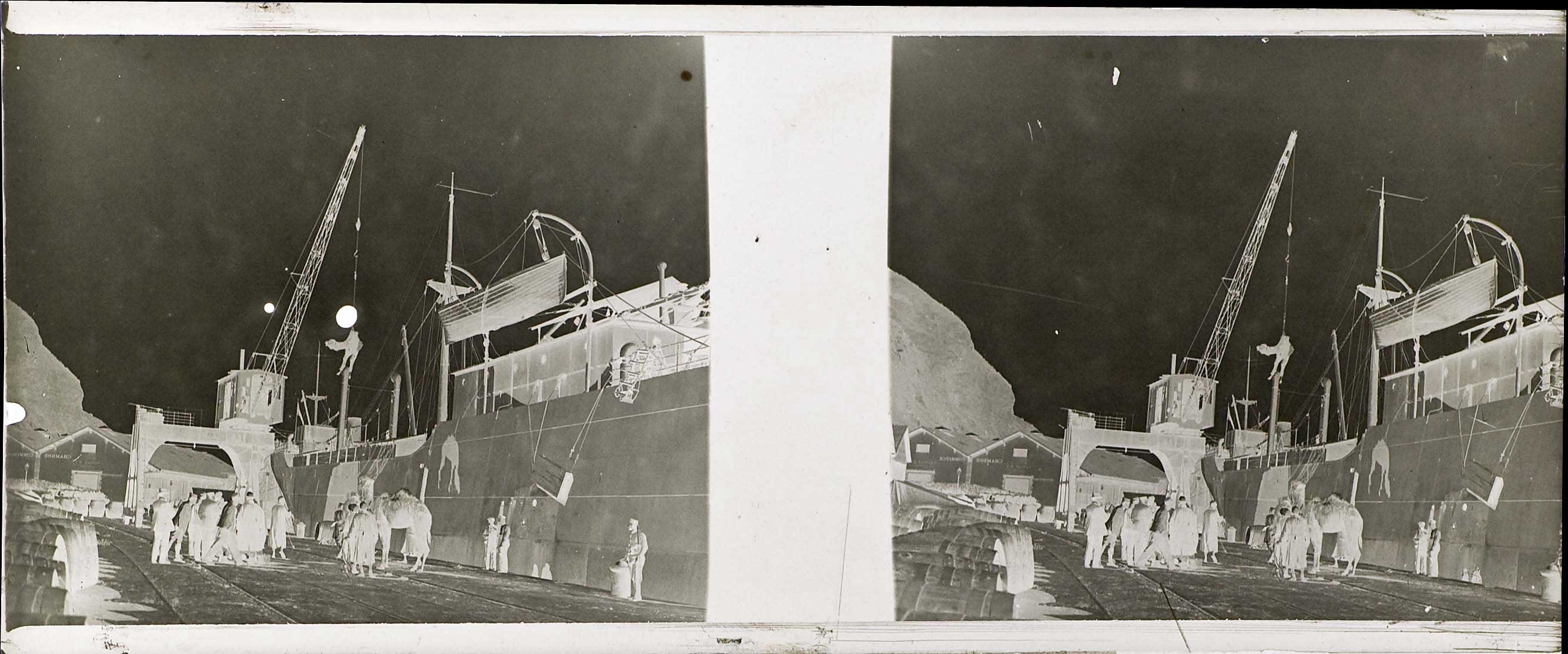 Lot 06558
