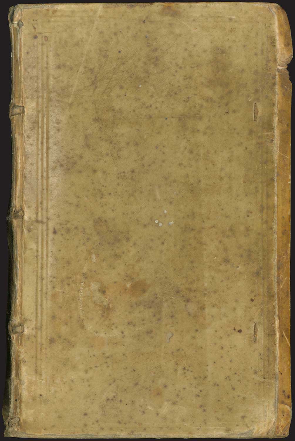 Lot 03399