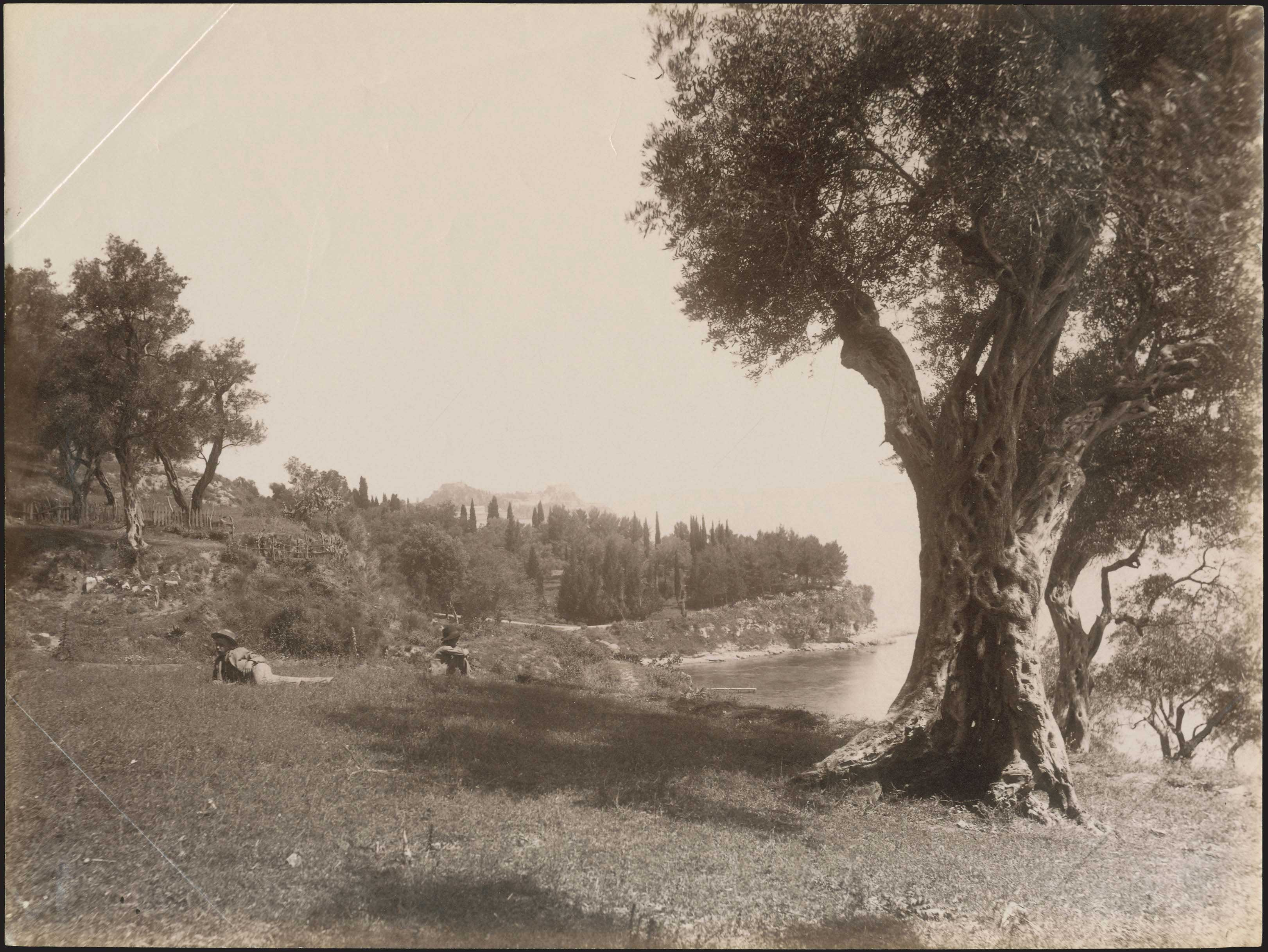 Lot 08962