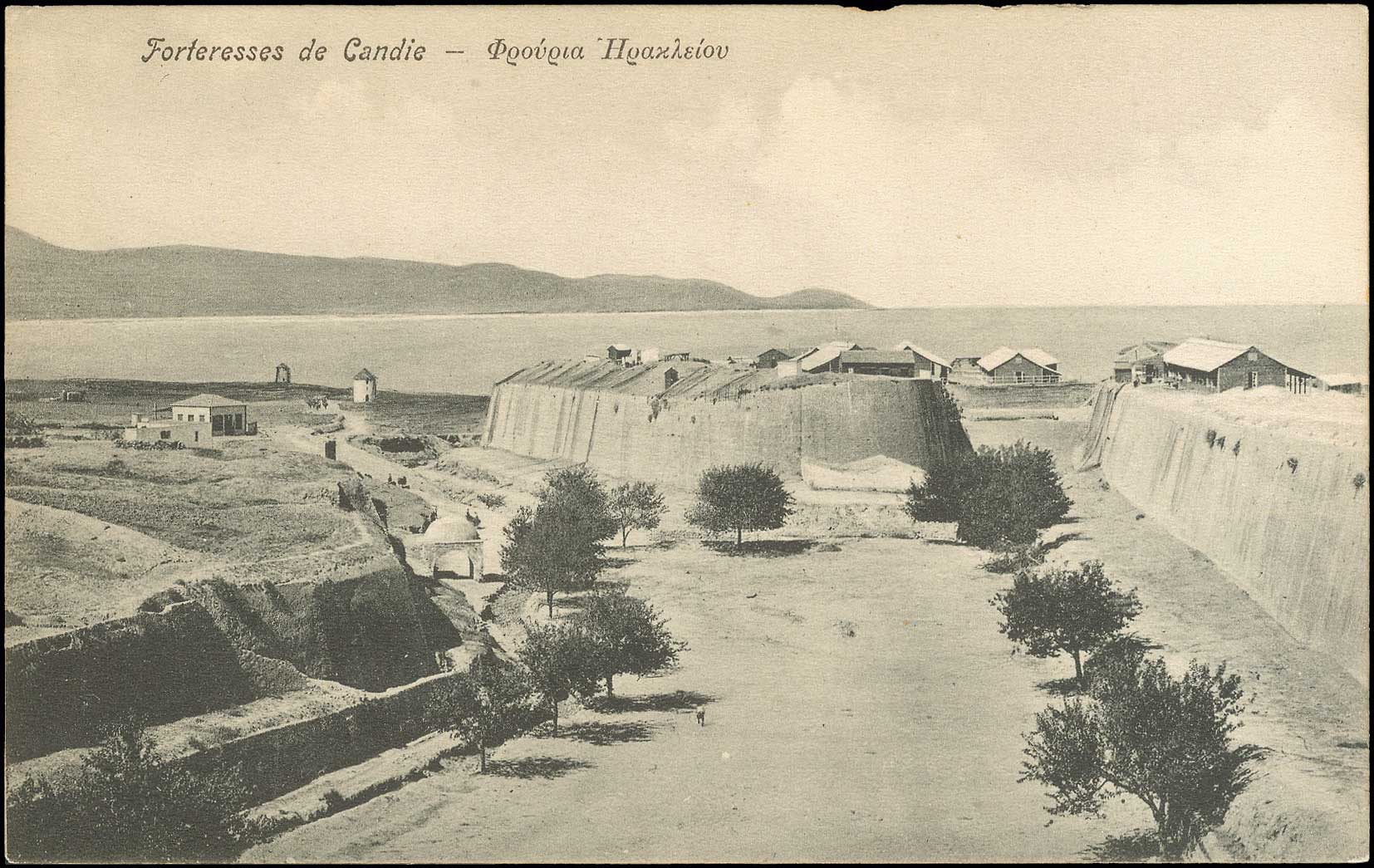 Lot 01345