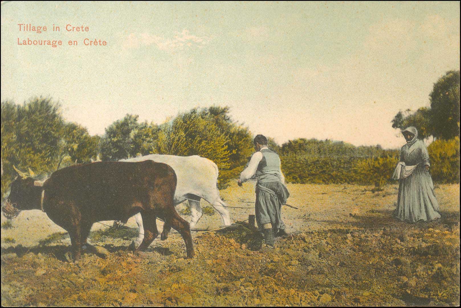 Lot 01370