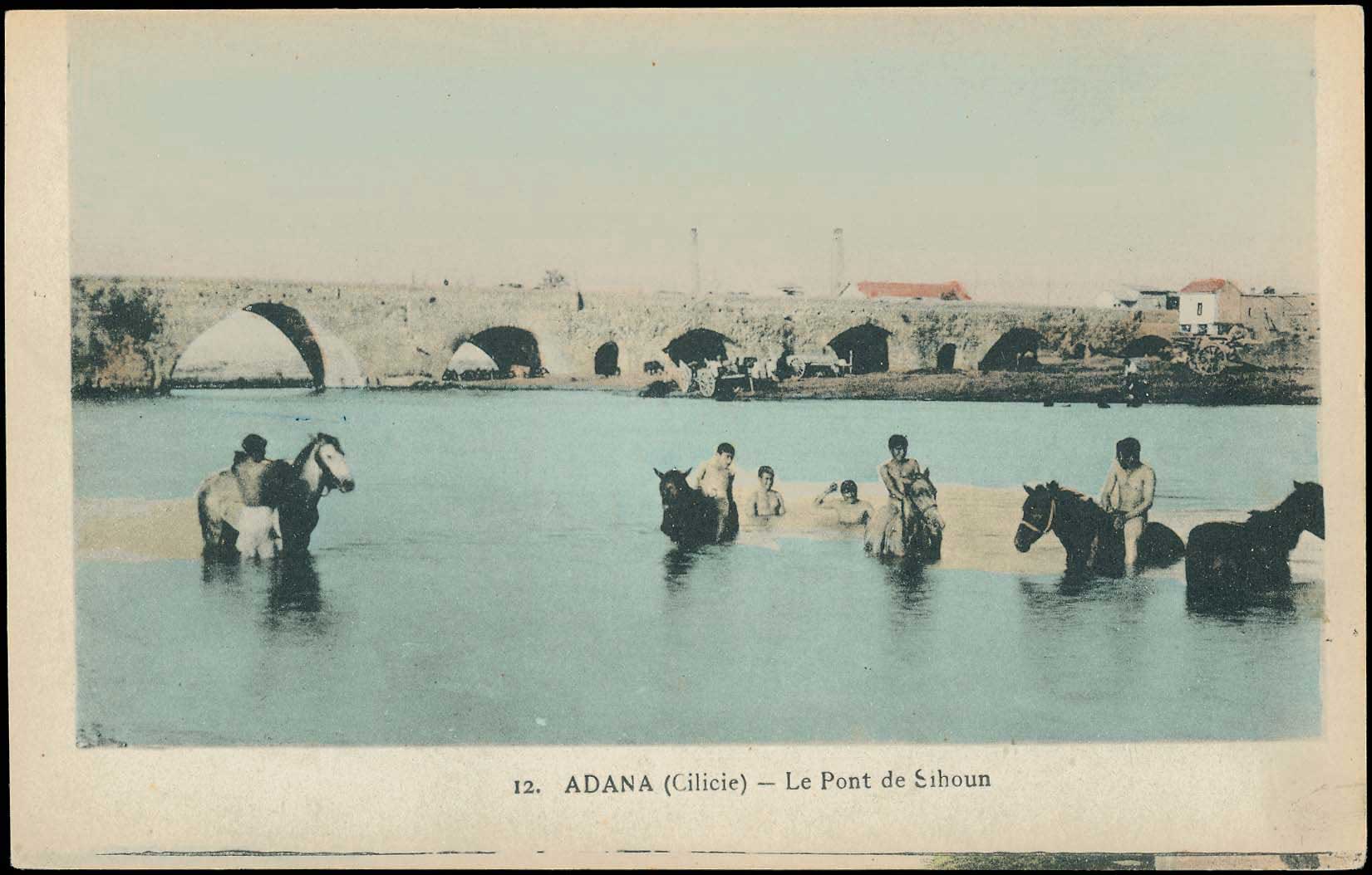 Lot 02419