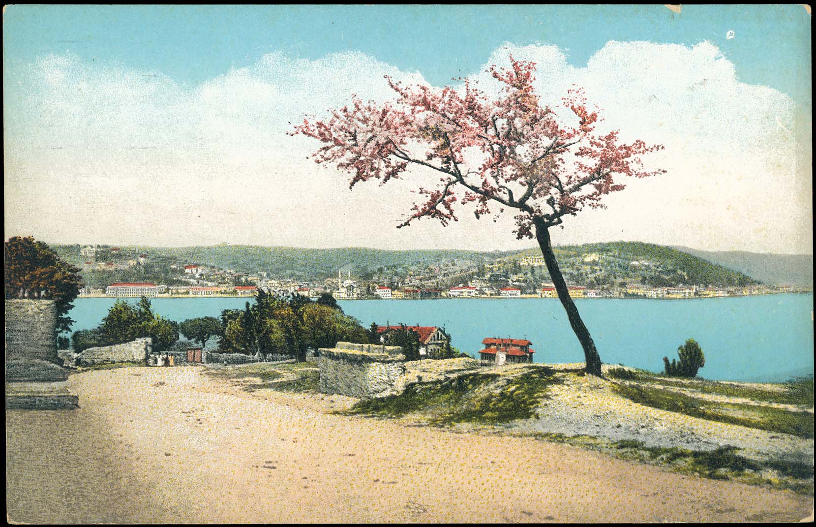 Lot 01629