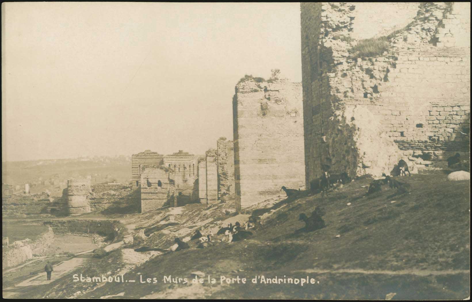 Lot 02618