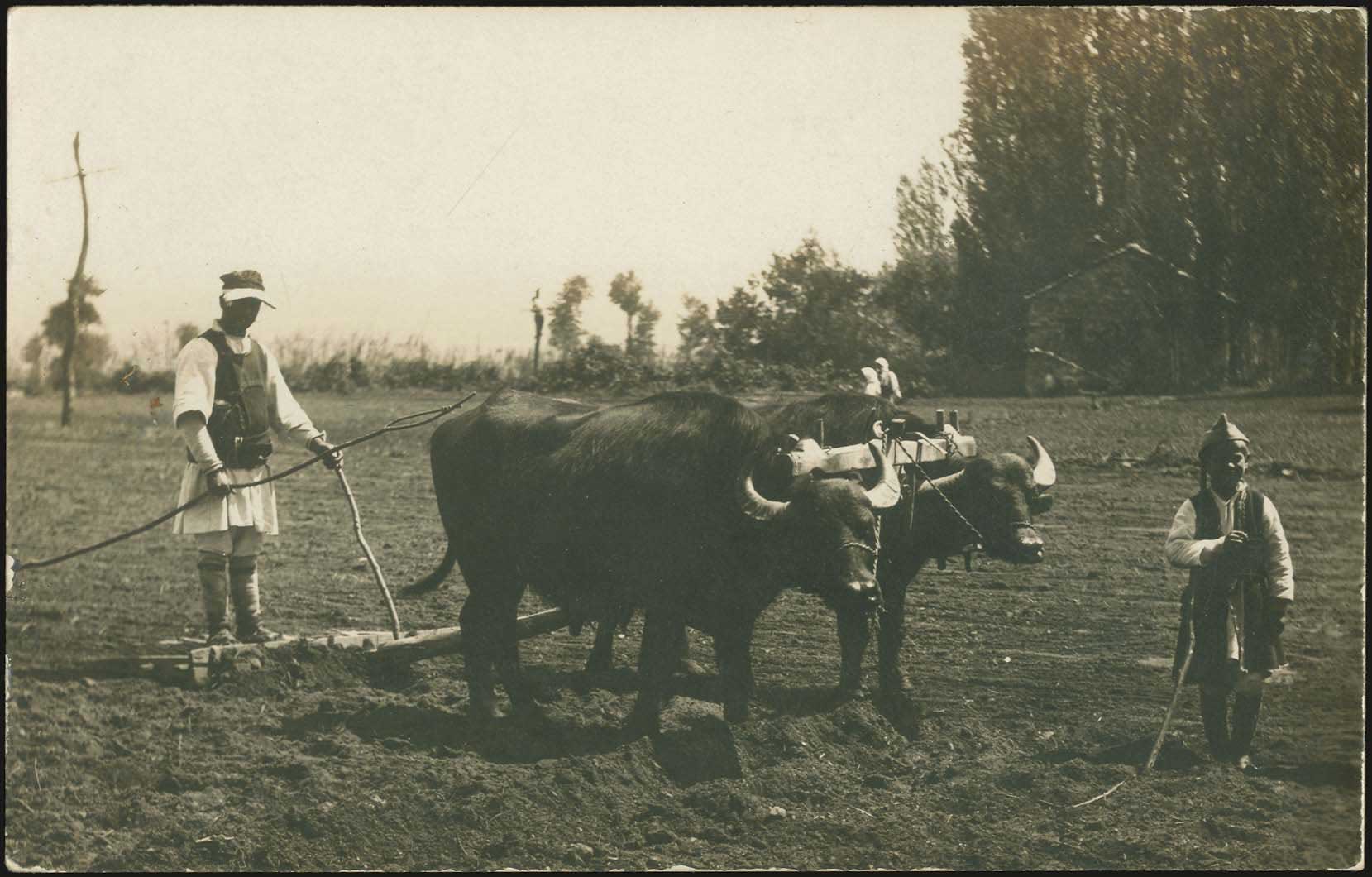 Lot 02683