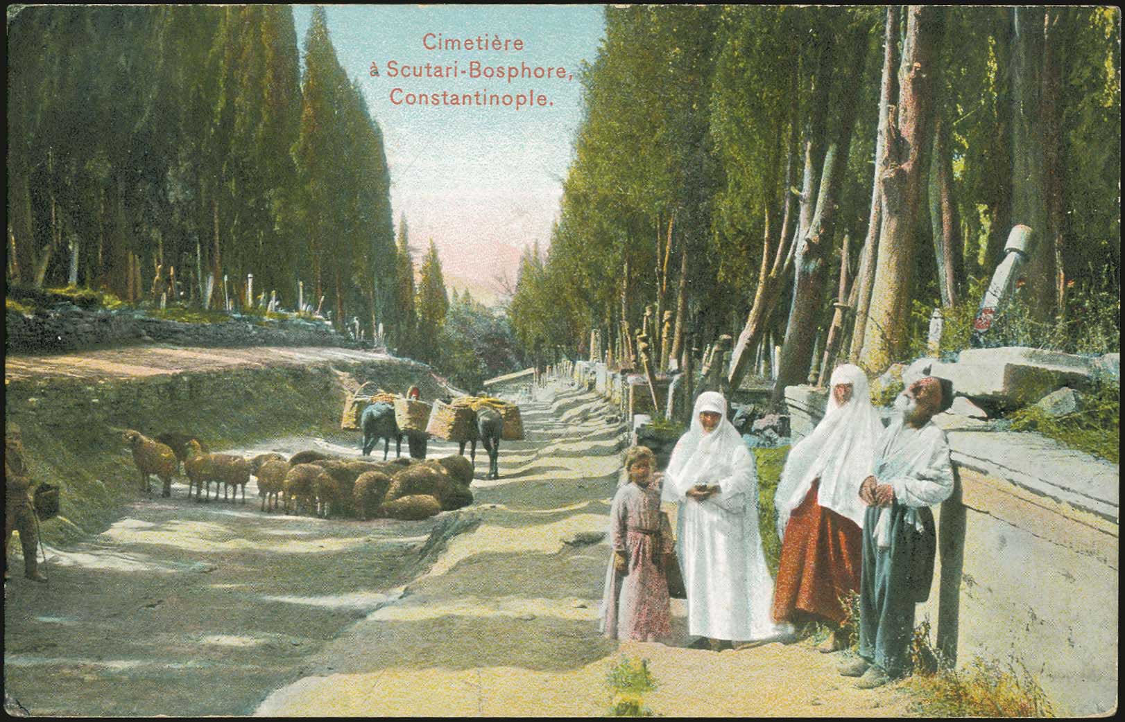 Lot 01721