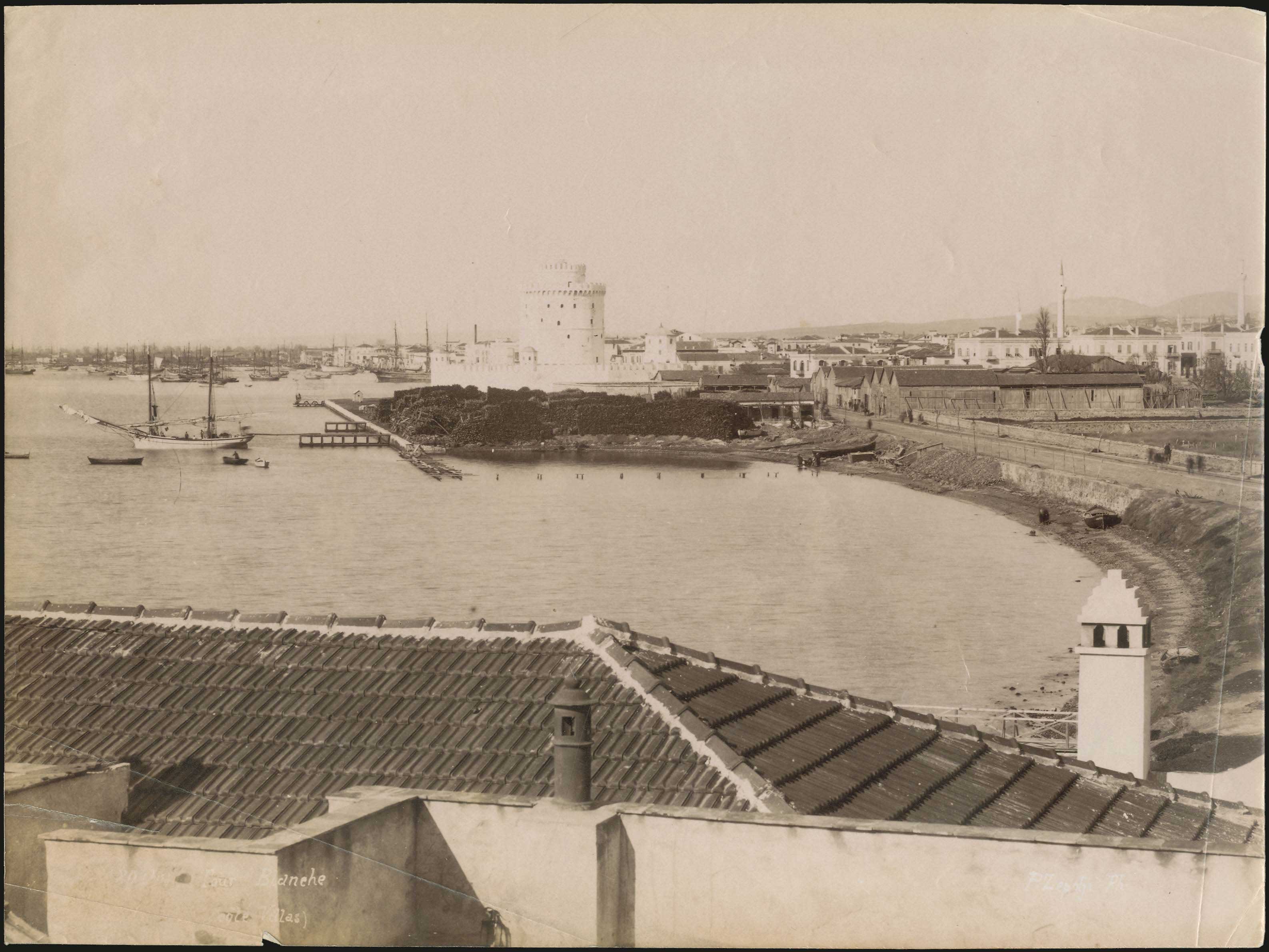 Lot 06012