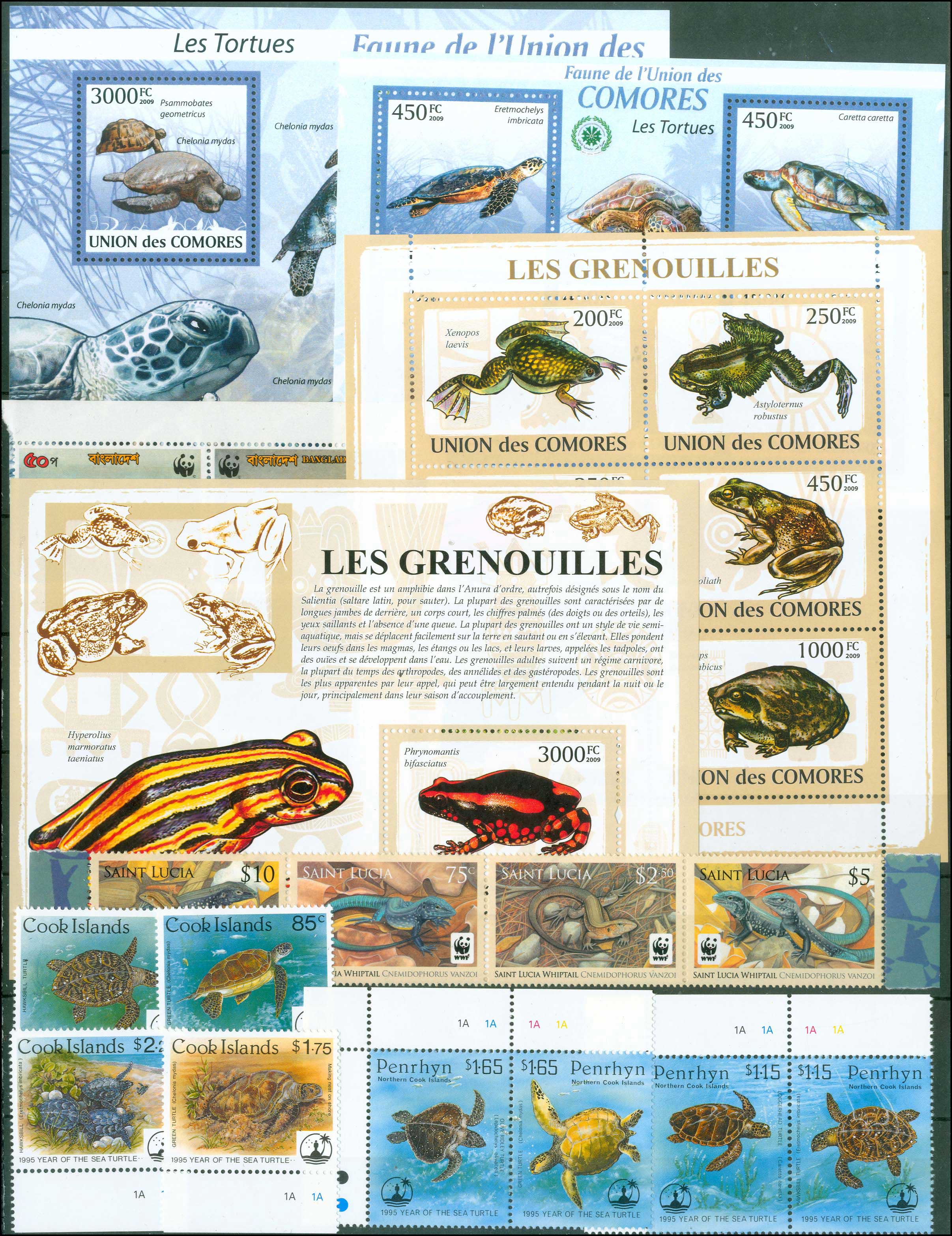 Lot 01855