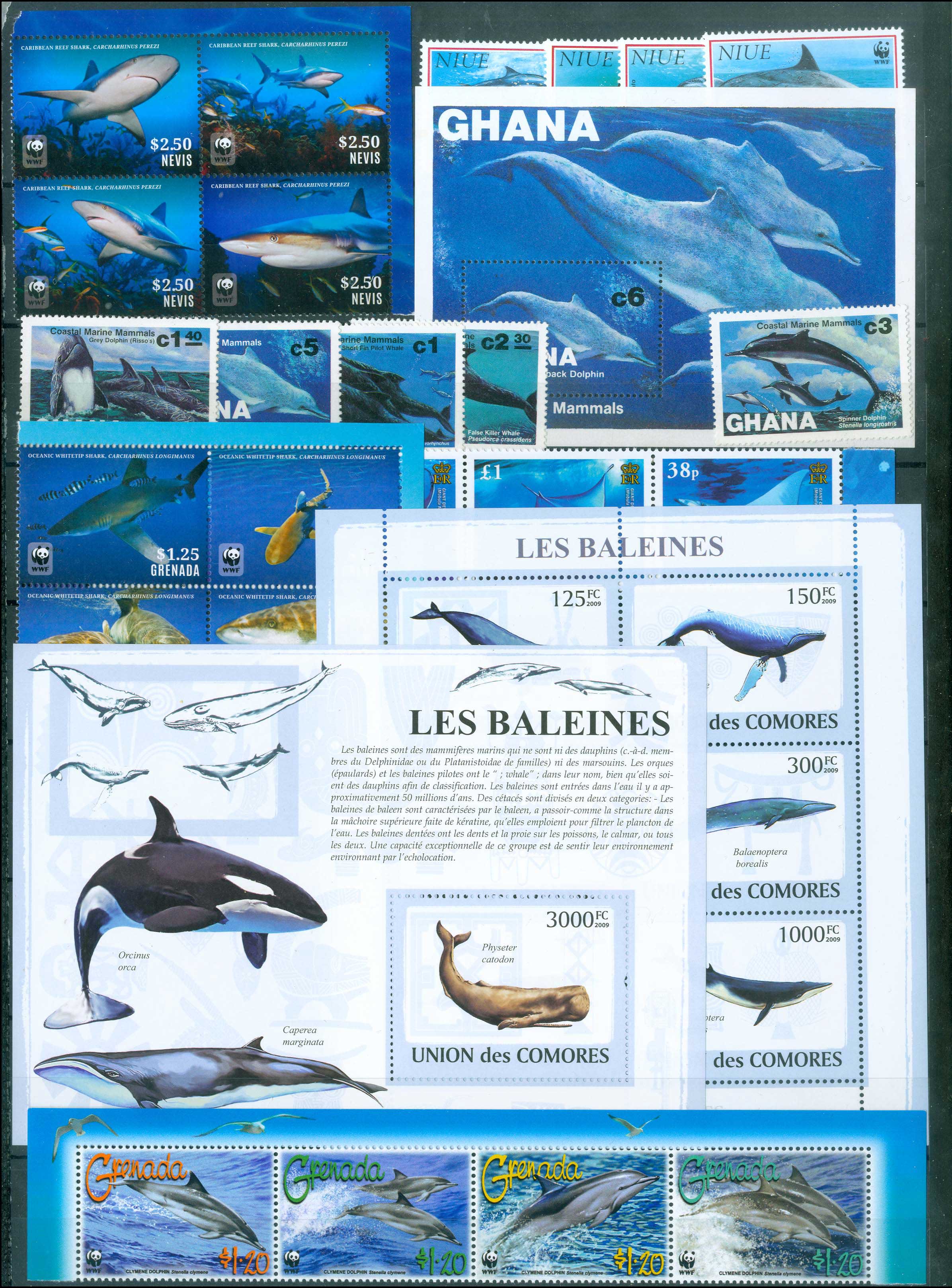 Lot 01848