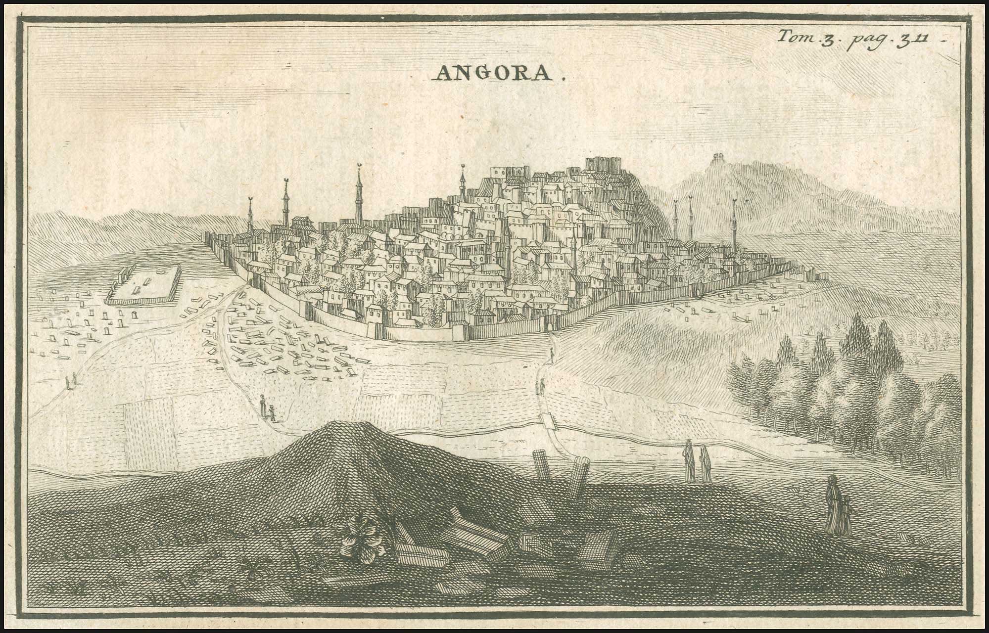 Lot 06803