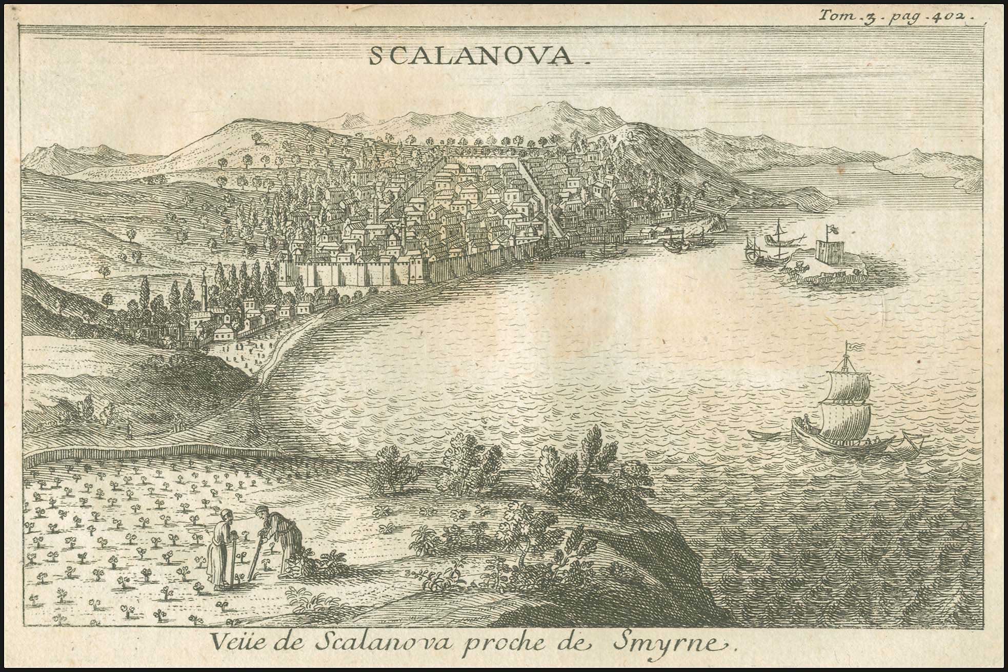 Lot 06811