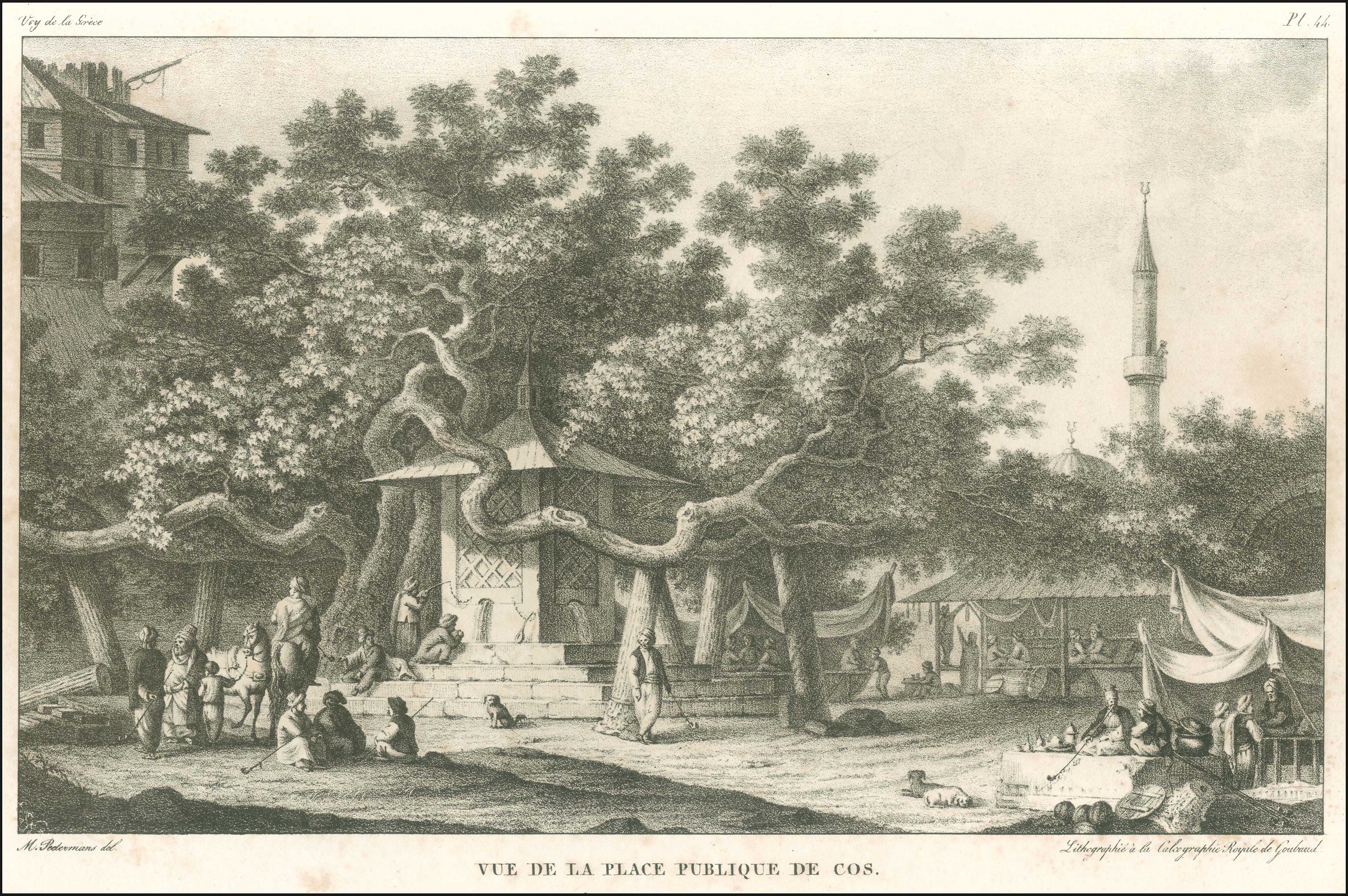 Lot 06836