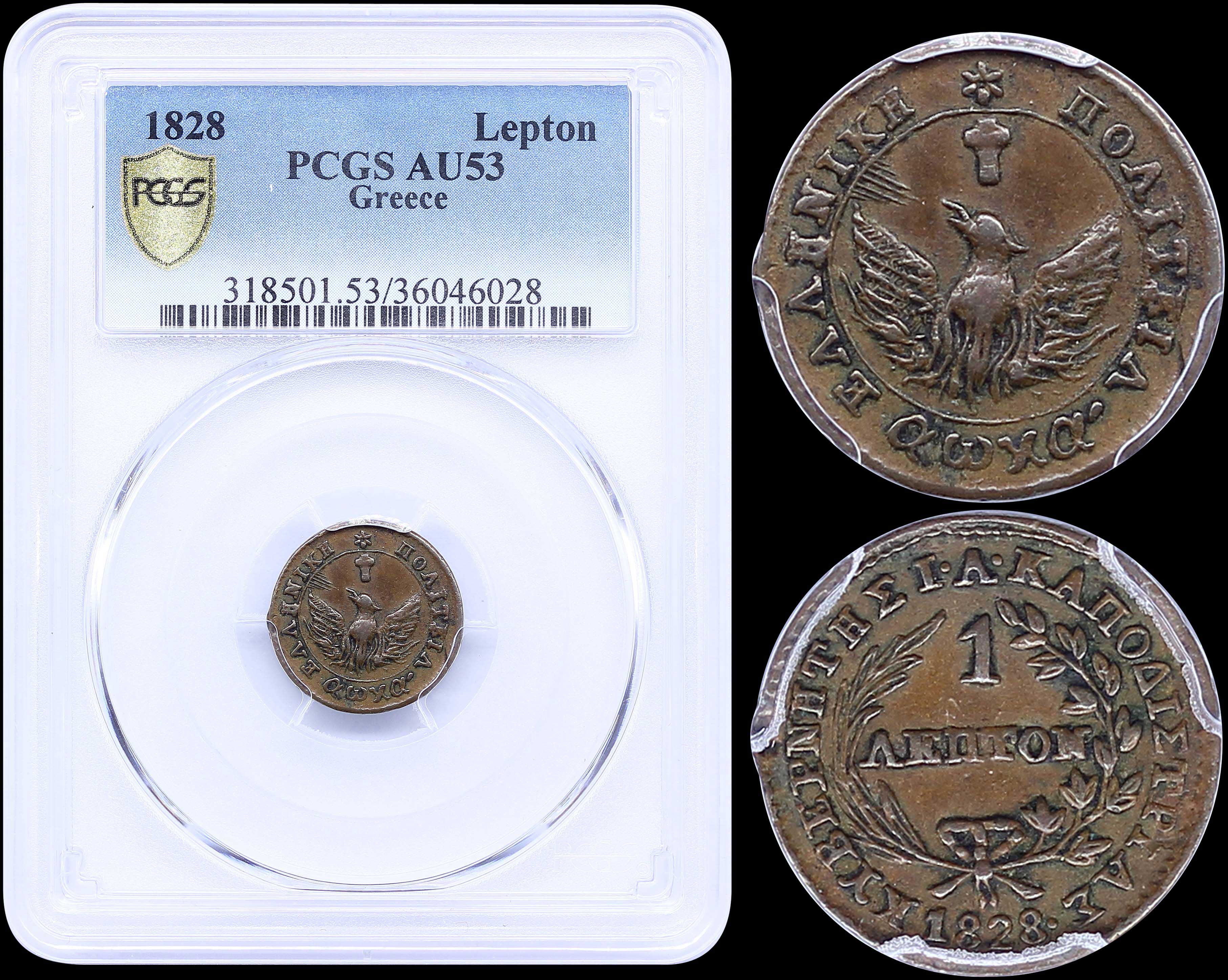 Lot 06006