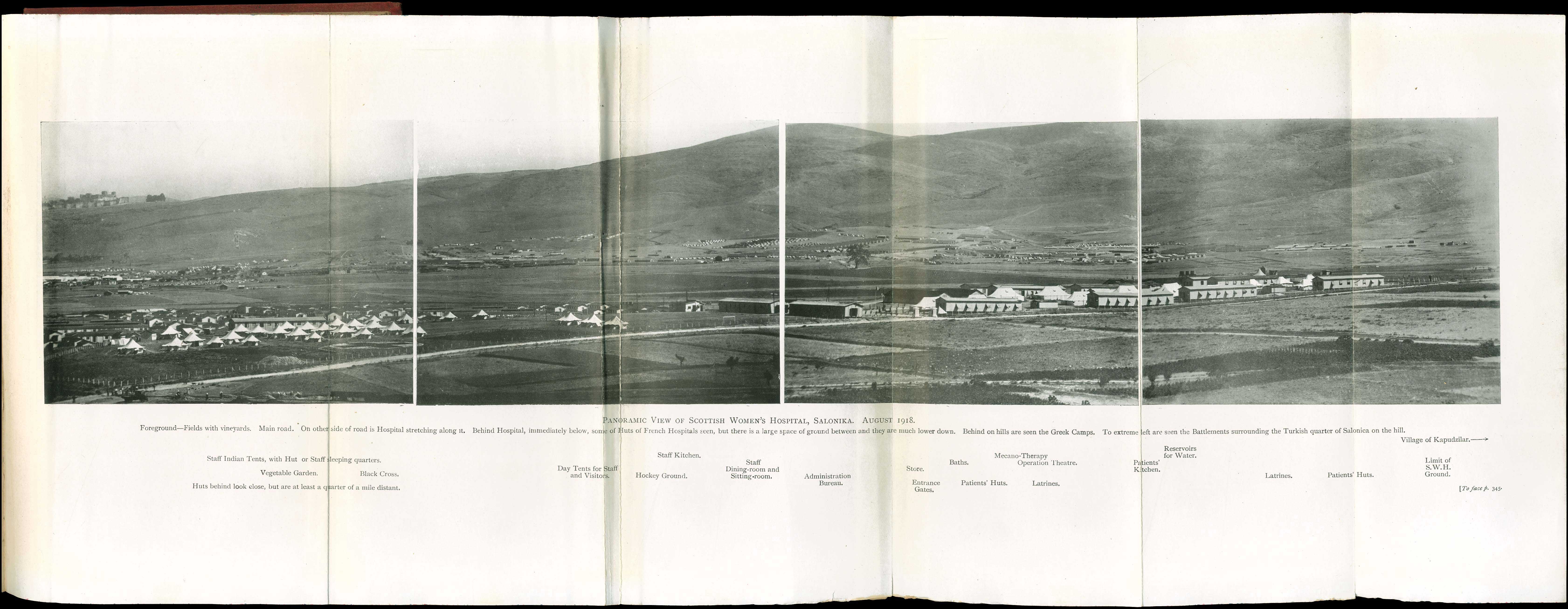 Lot 08291
