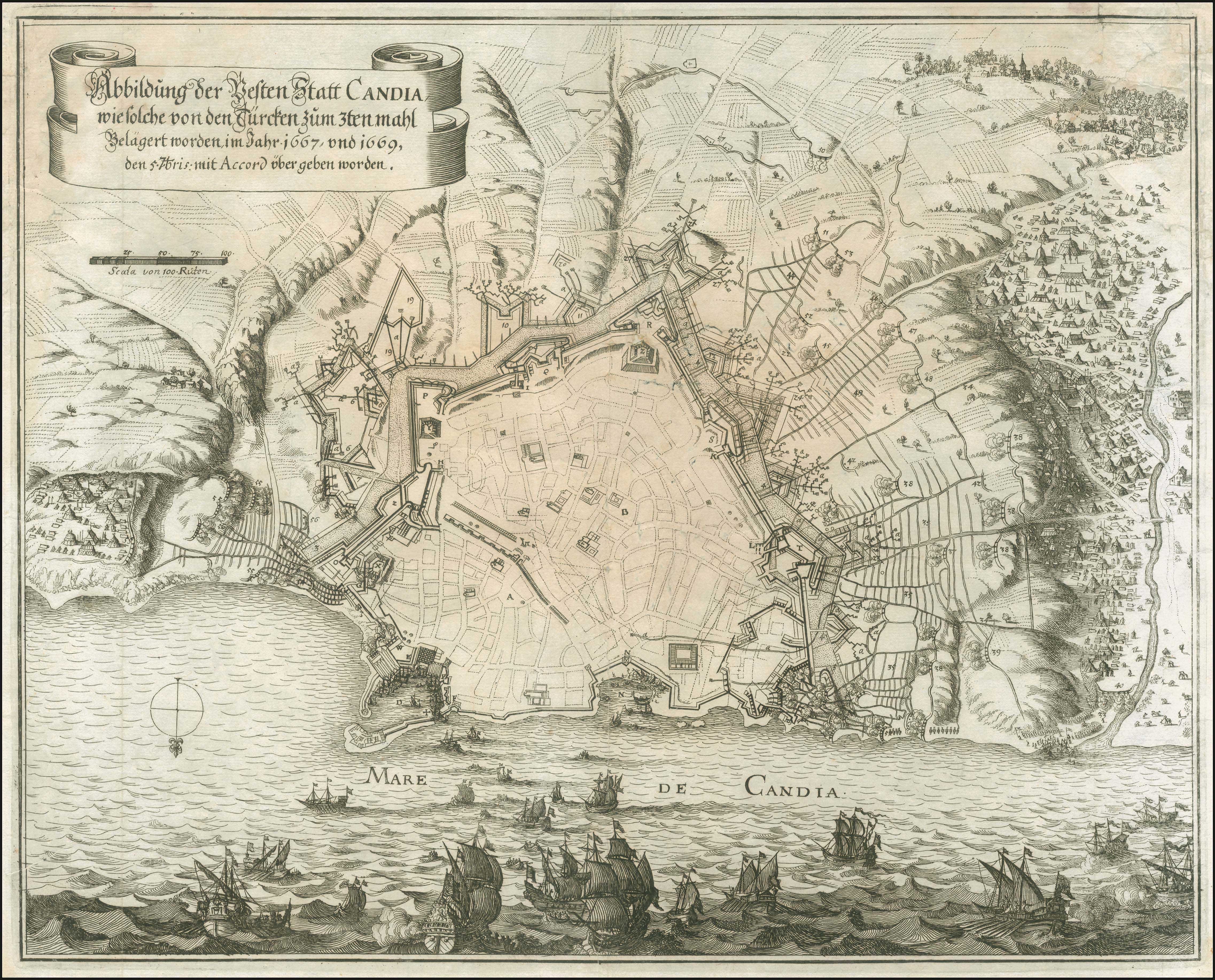 Lot 03528