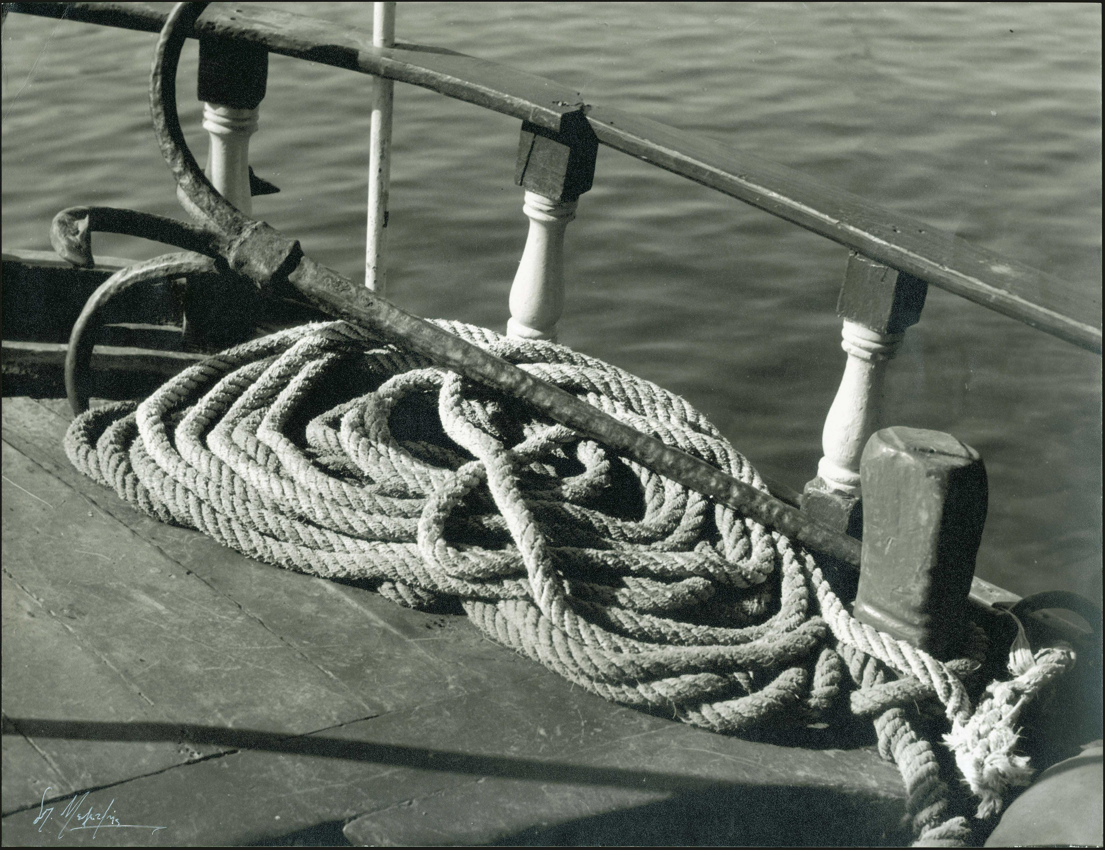 Lot 03483