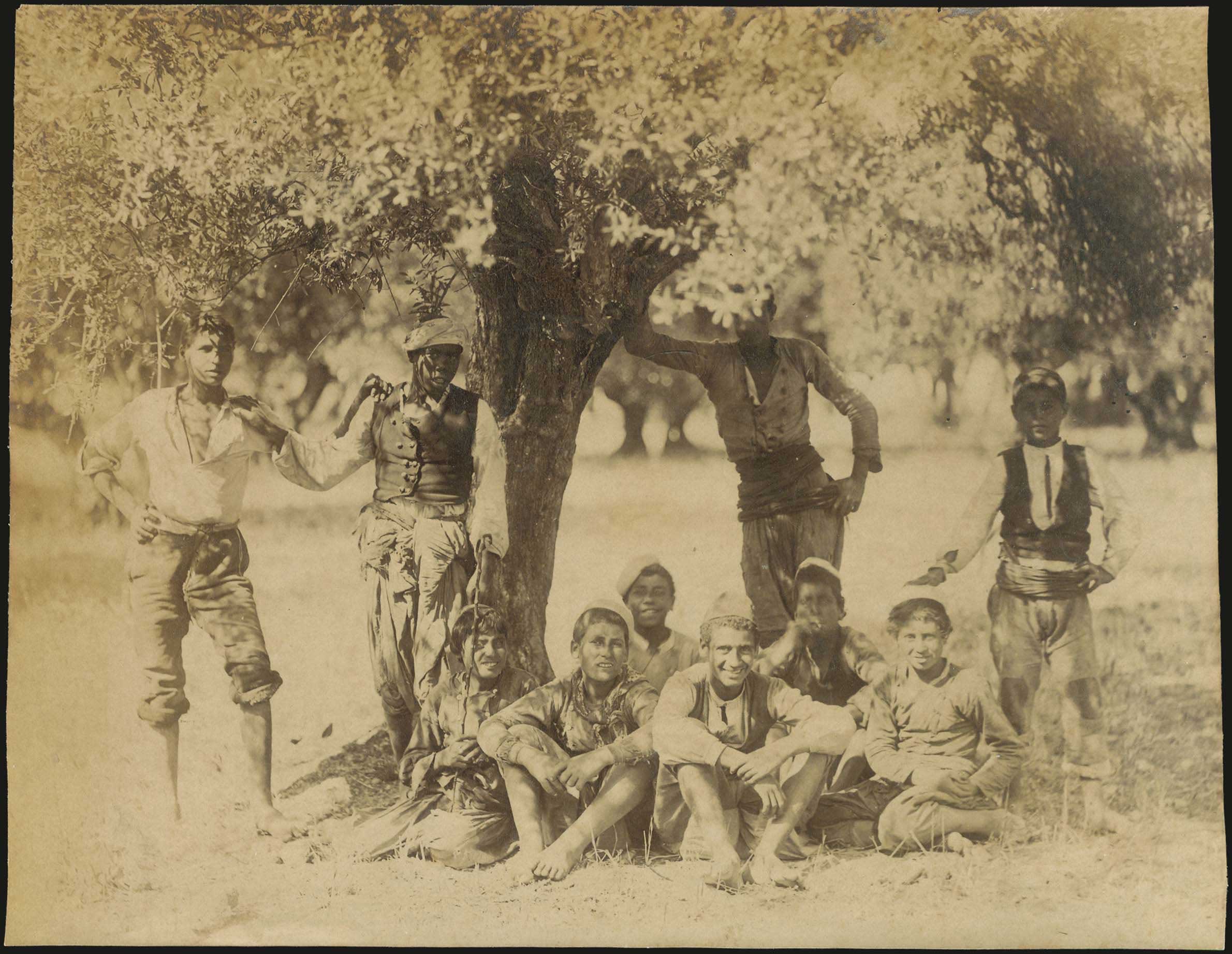 Lot 08668