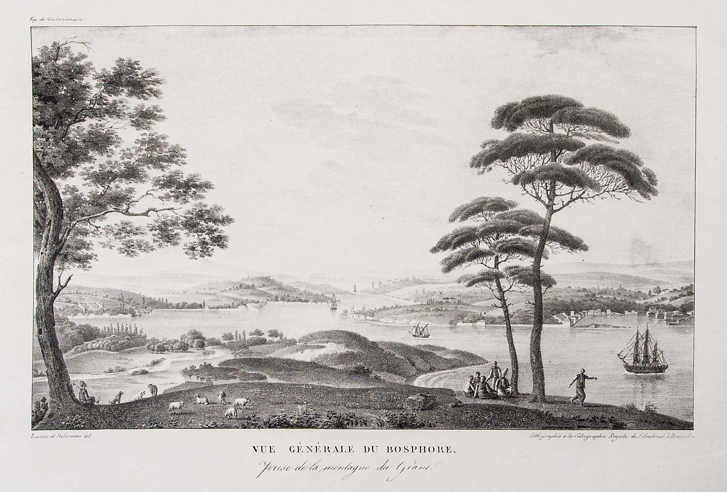Lot 03364